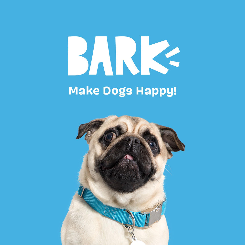BarkBox BARK A Squeaky Meat-A-Ball medium size in active play setting
