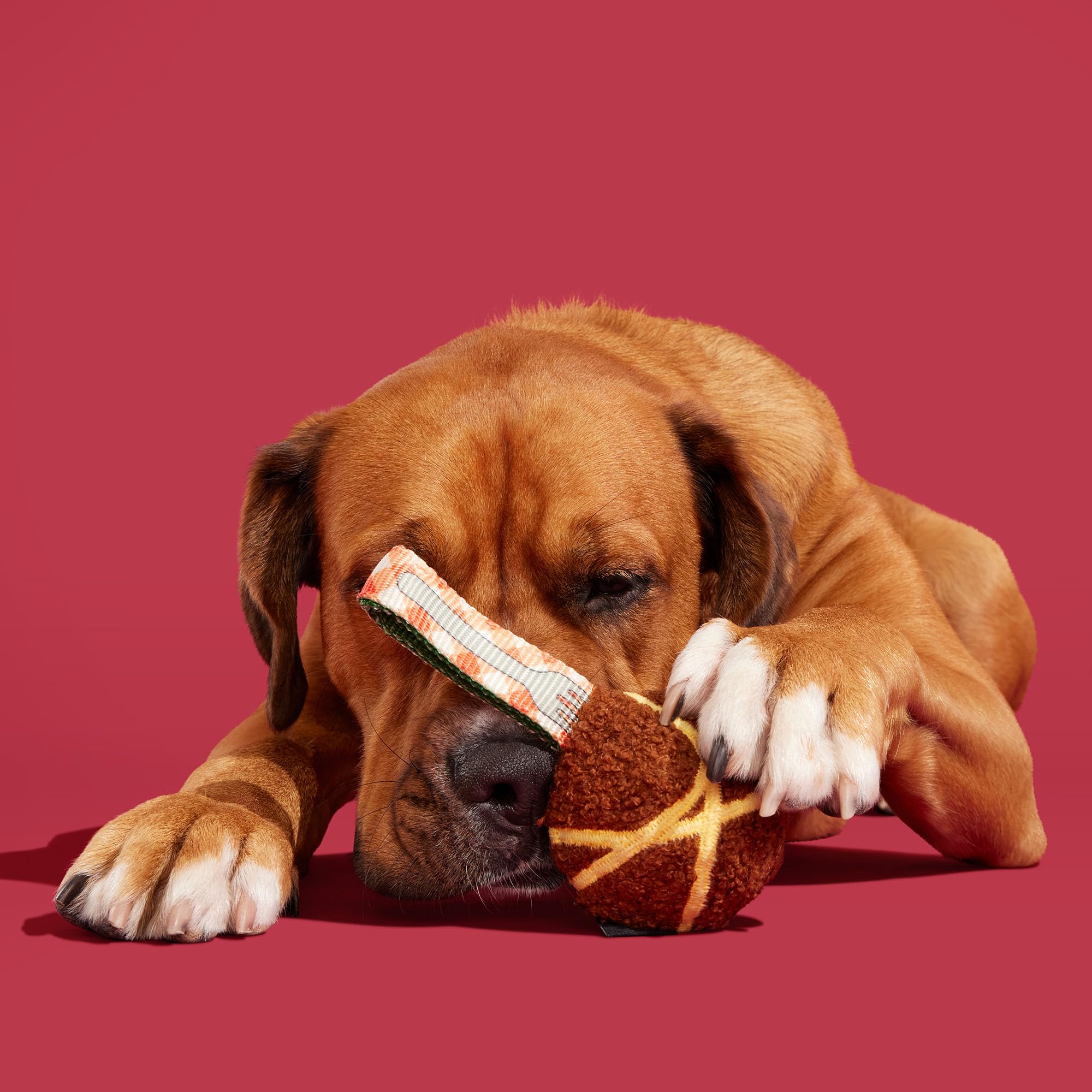 BarkBox BARK A Squeaky Meat-A-Ball outdoor play shot emphasizes durable tug-and-fetch