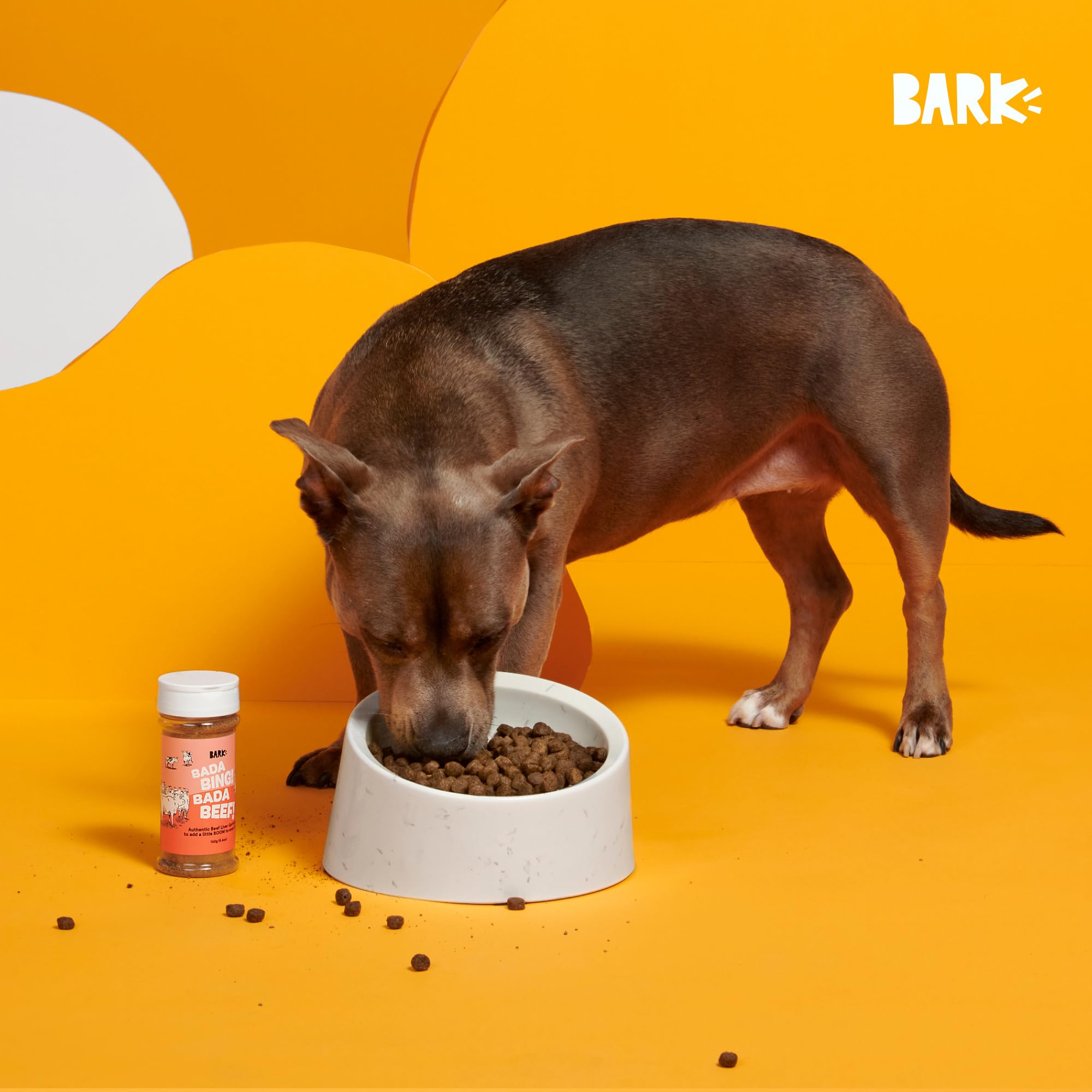 BarkBox Beef Topper on glossy kibble shows premium, protein-packed addition.