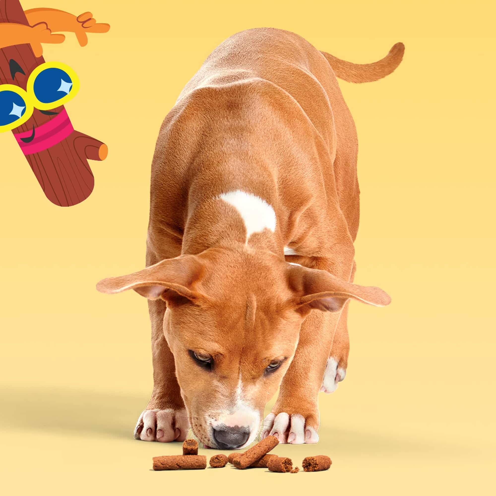 Beefy Meat Hunks de BarkBox: sabor sabroso que motiva a tu perro