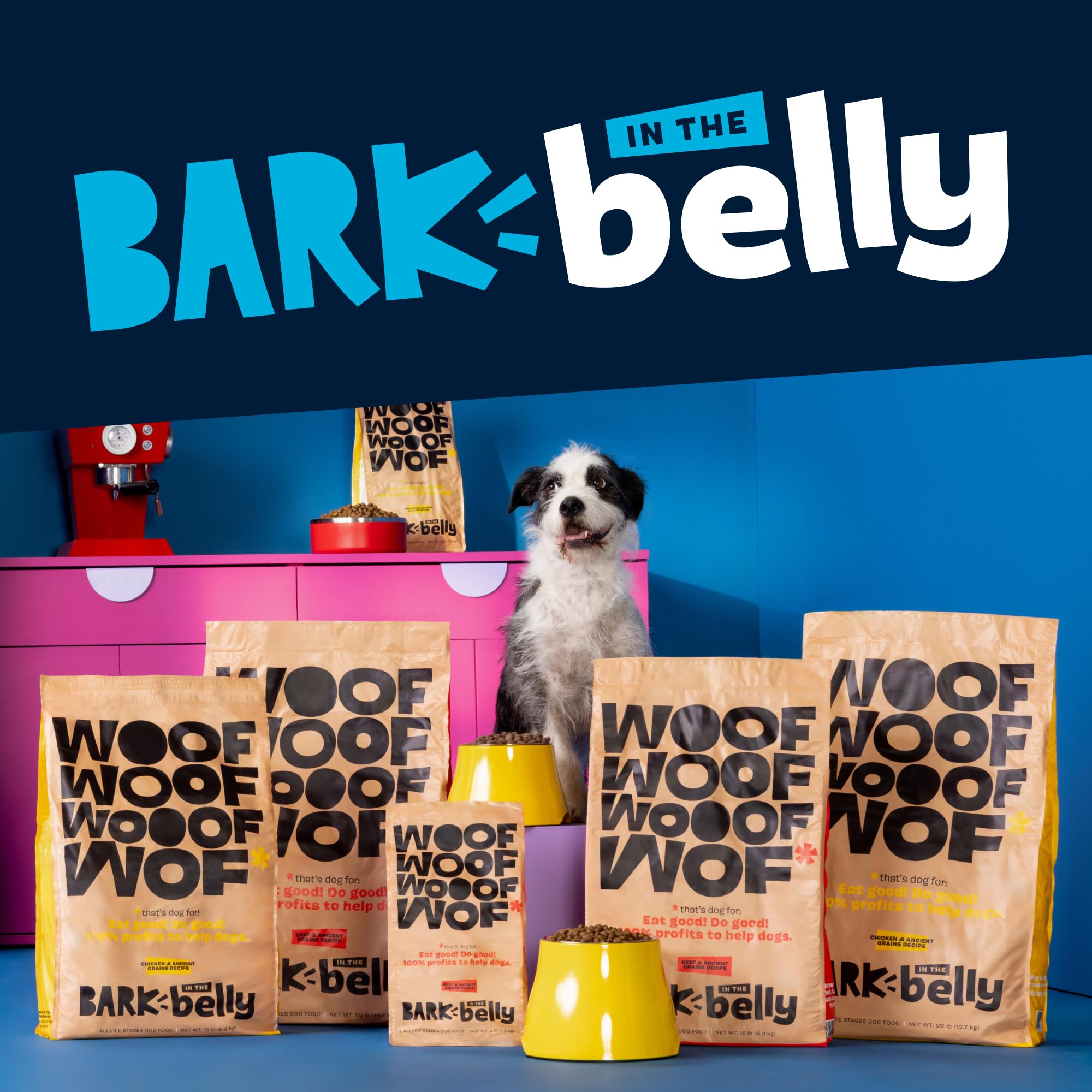 Barkbox Belly Cheese Topper ingredients panel lists four real cheeses.