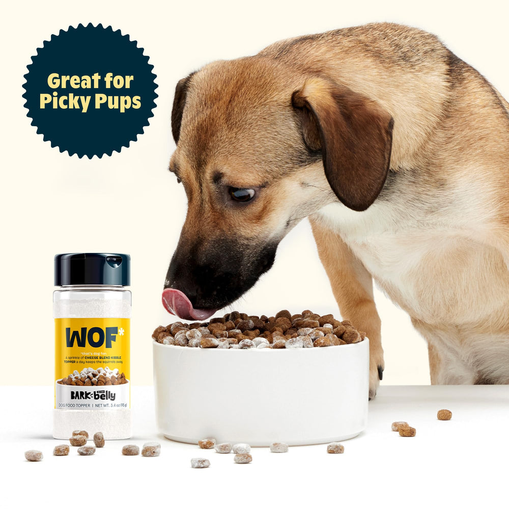 Barkbox Belly Cheese Topper snack time moment with happy dog aroma.