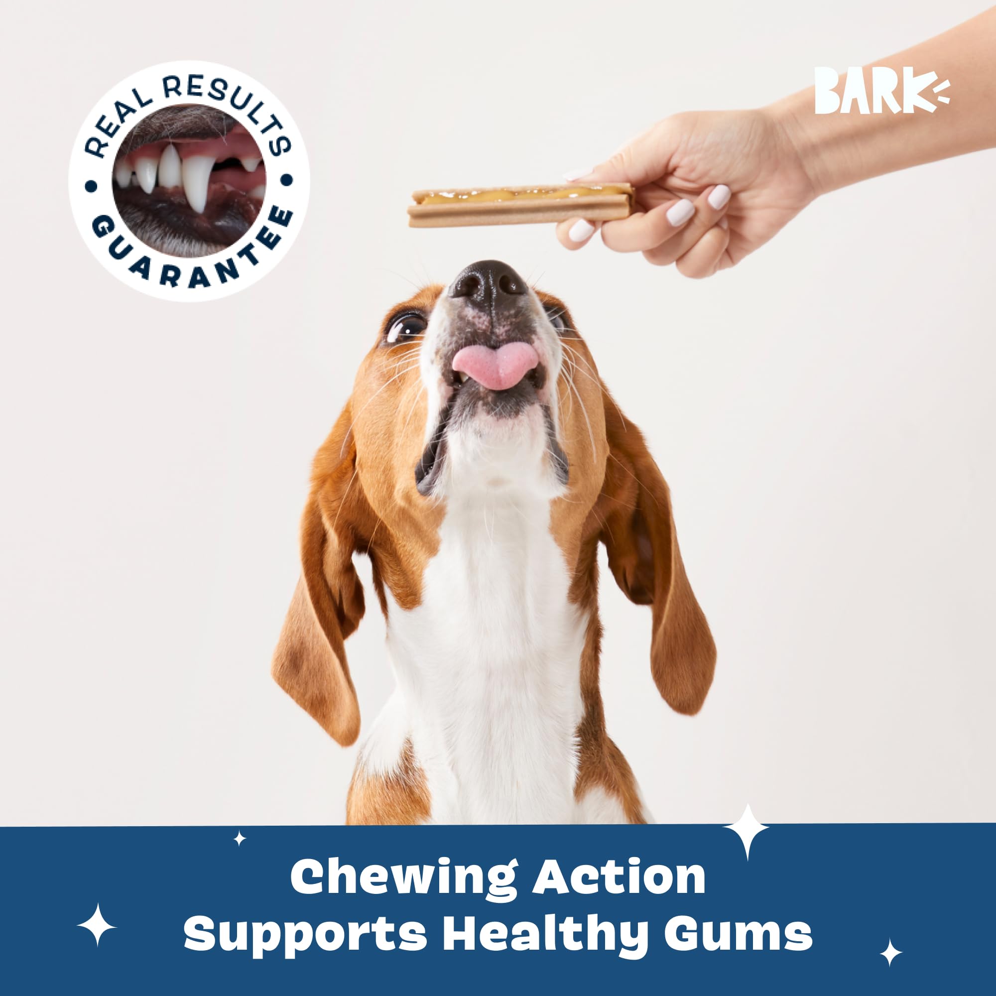 BarkBox Bright breath-freshening action shown with chews and gel