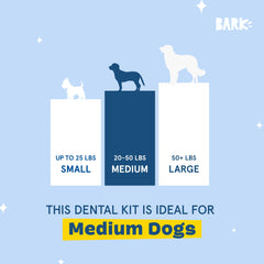 BarkBox Bright chew sticks in mouth illustrate gum massage and crevice cleaning