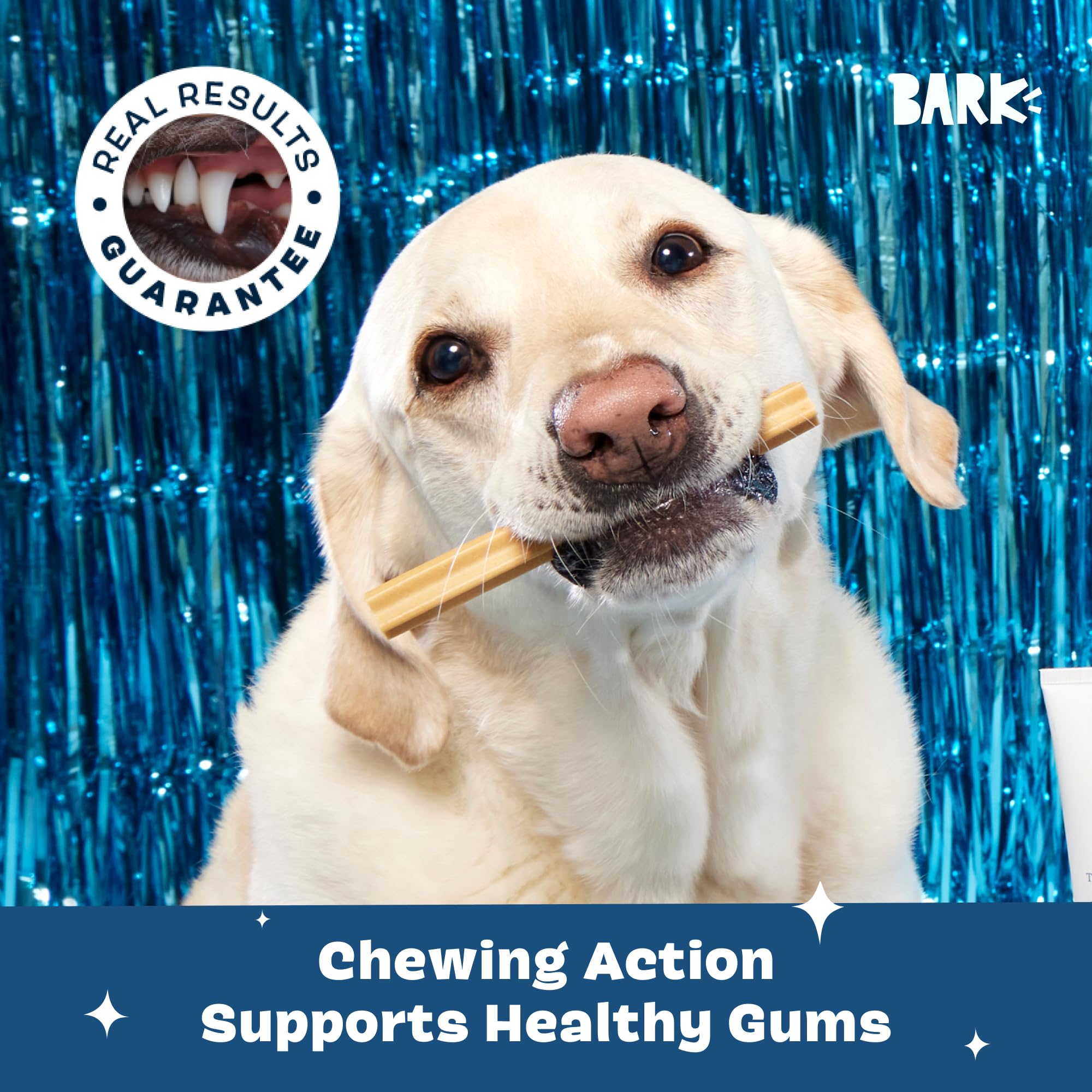 Barkbox Bright large-breed display emphasizes premium ingredients and grain-free formula.