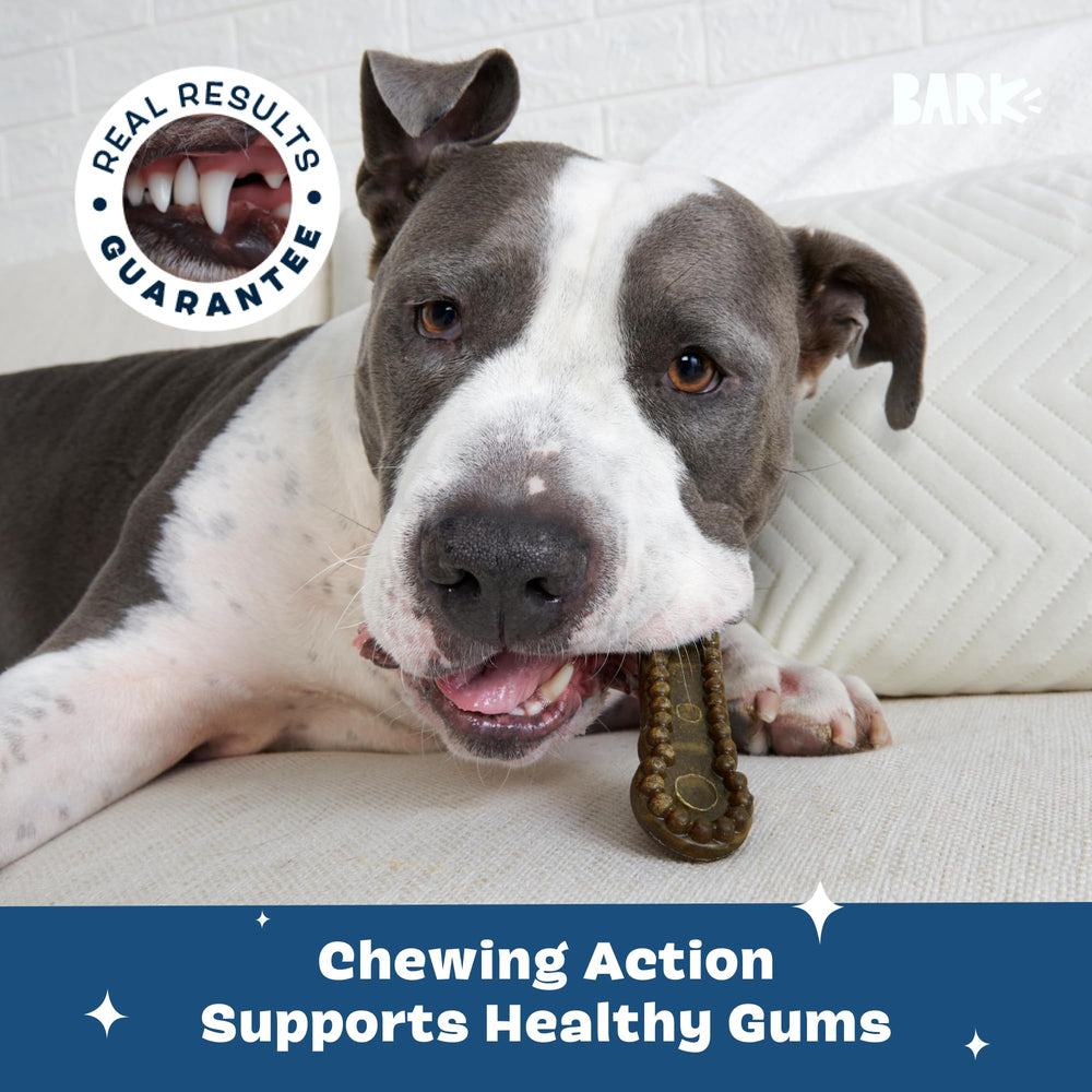 BarkBox Bright dental sticks action closeup highlighting scrubbing ridges