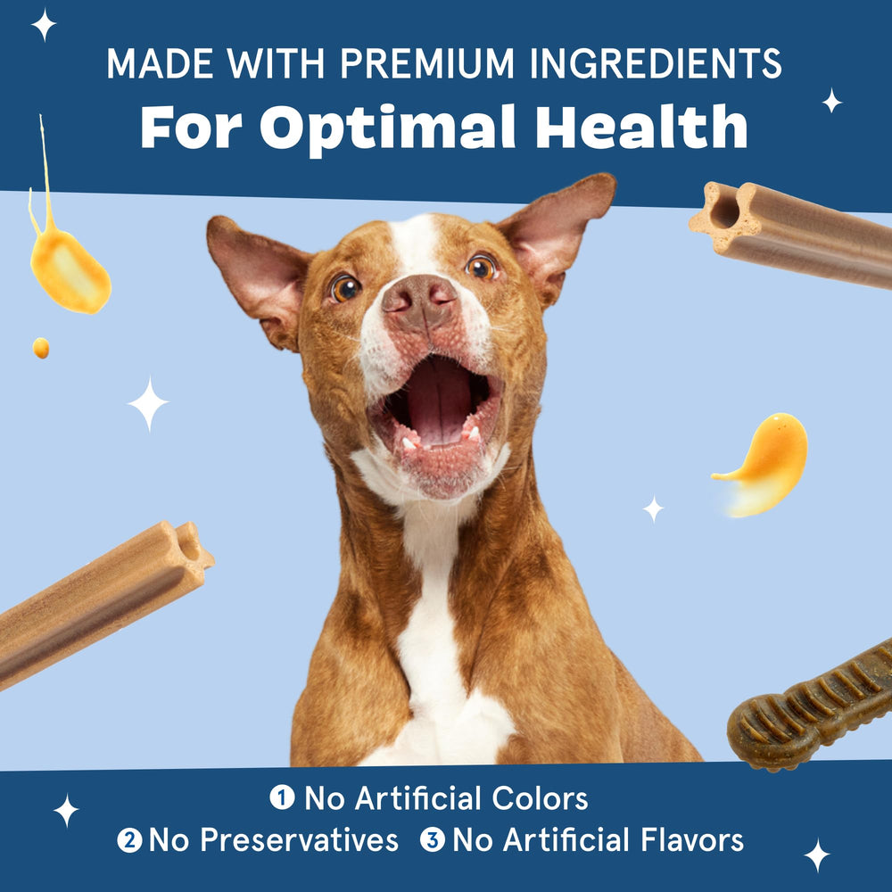 BarkBox Bright allergen-free formula chews suitable for sensitive dogs