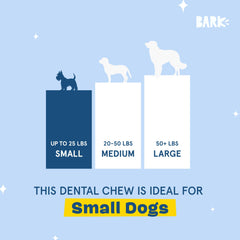 Barkbox Bright dental sticks in use with a small dog for breath-related benefits