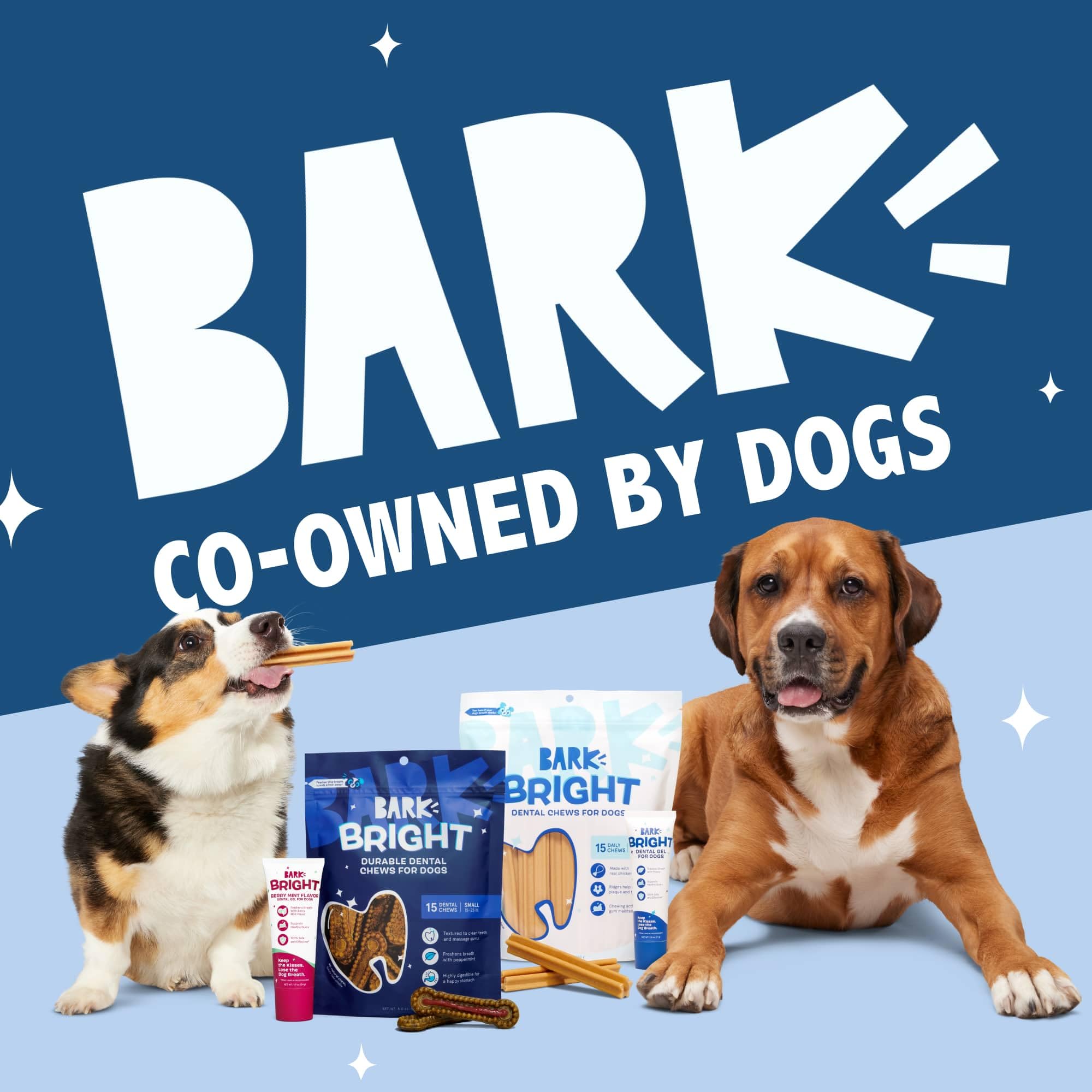 BarkBox Bright packaging shows 15 sticks for ongoing dental care