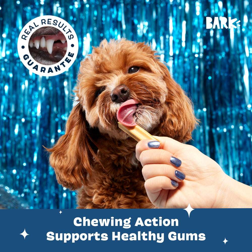 Barkbox Bright dental sticks real chicken flavor appealing to dogs during dental care