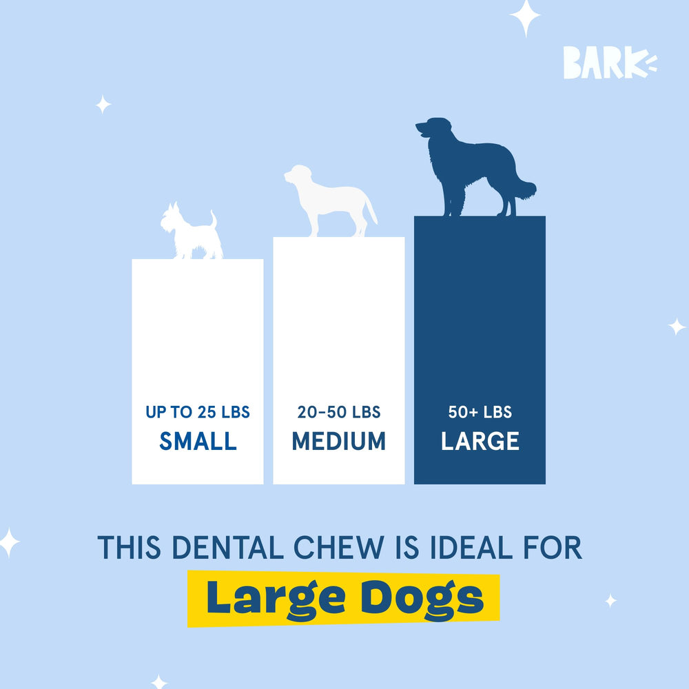 BarkBox Bright dog chewing sticks-in-use for a large breed during play