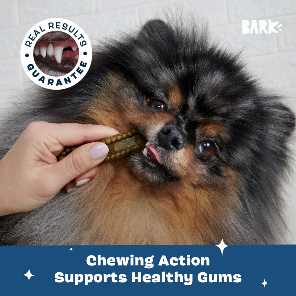 Barkbox Bright Durable Dental Chews ingredients no artificial colors or fillers are used.