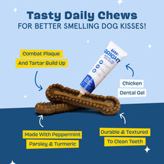 Barkbox Bright dental kit chew sticks pack shown for tough chewers with scrubbing ridges