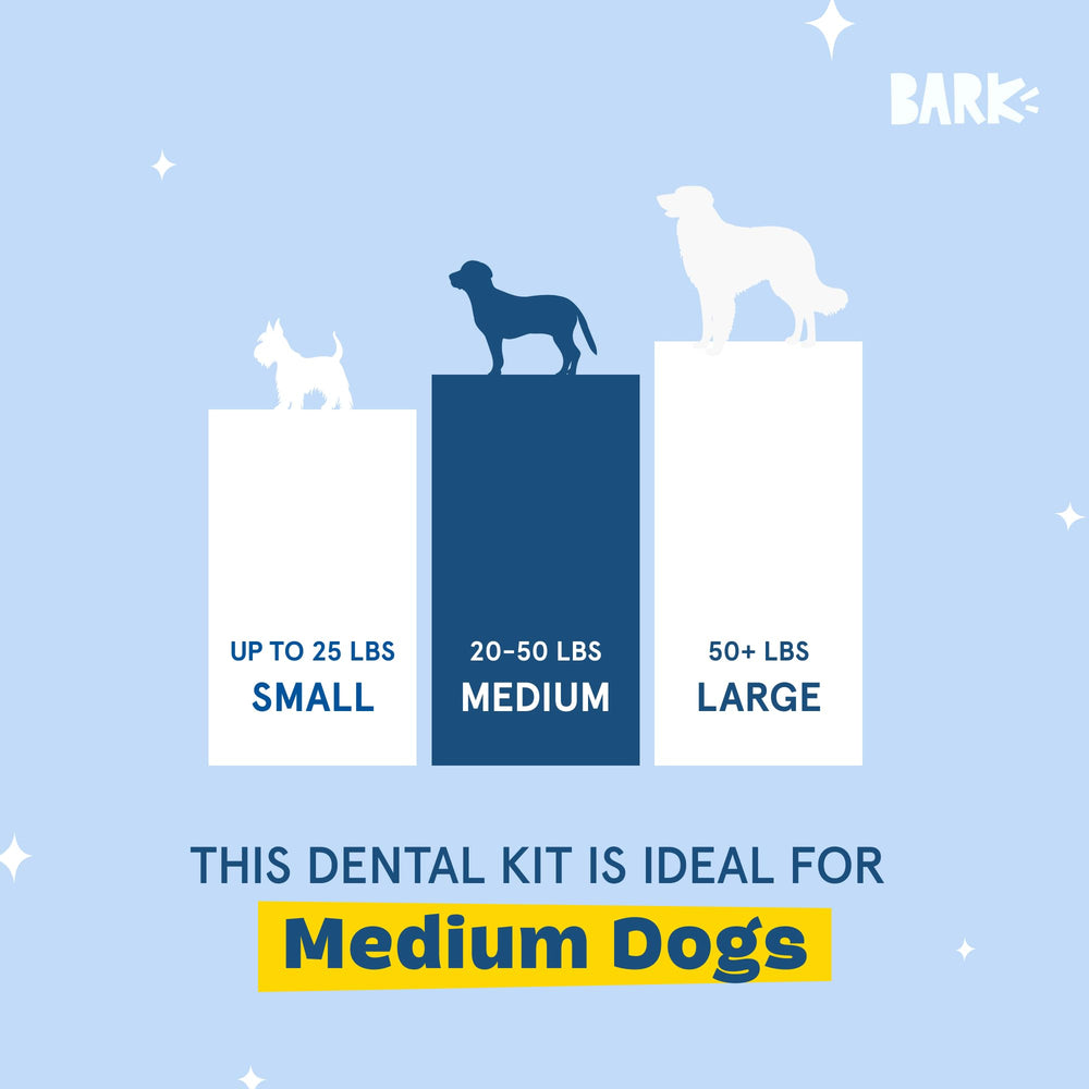 Bark Berry Mint toothpaste from Barkbox Bright kit ready to boost cleaning action