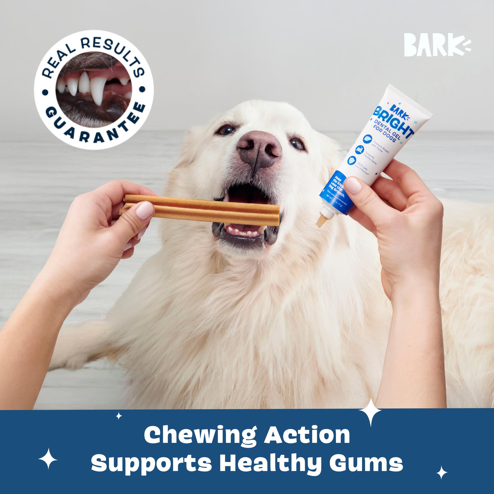 BarkBox Bright ingredients image featuring chicken and thyme as natural flavoring.