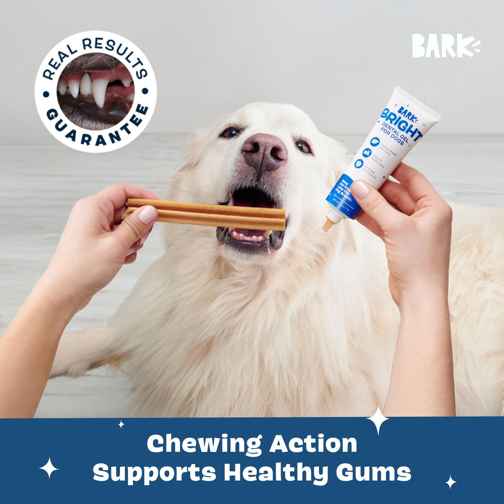BarkBox Bright ingredients image featuring chicken and thyme as natural flavoring.