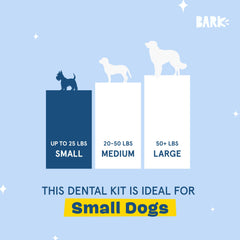 Dog enjoys BarkBox Bright dental sticks during a chew session for fresh breath