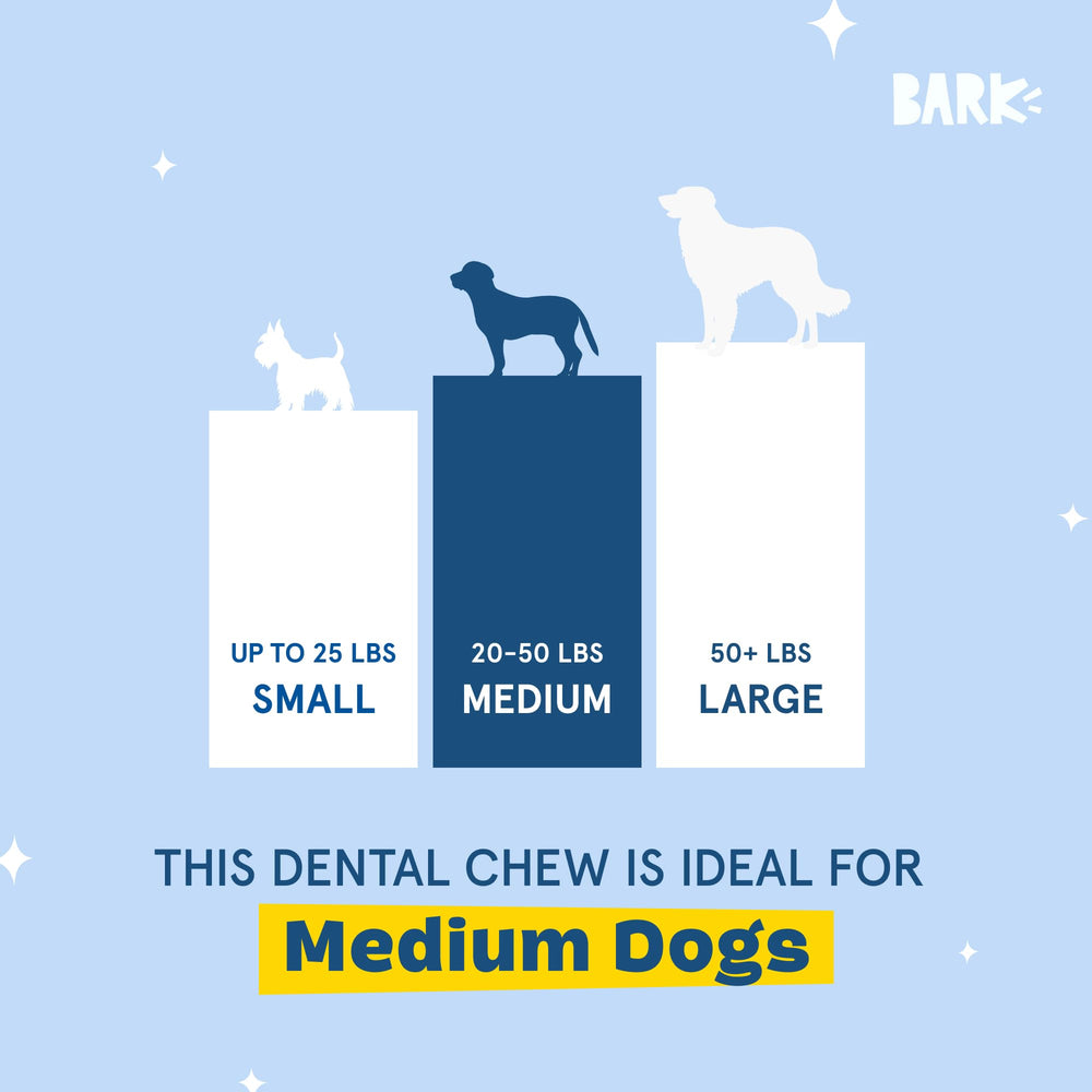 Barkbox Bright ridged texture promoting scrubbing action.