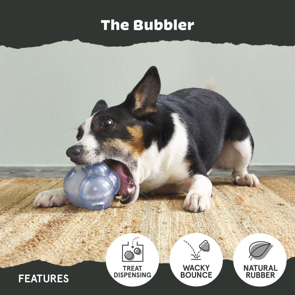 BarkBox Bubbler designed for medium dogs during daily play