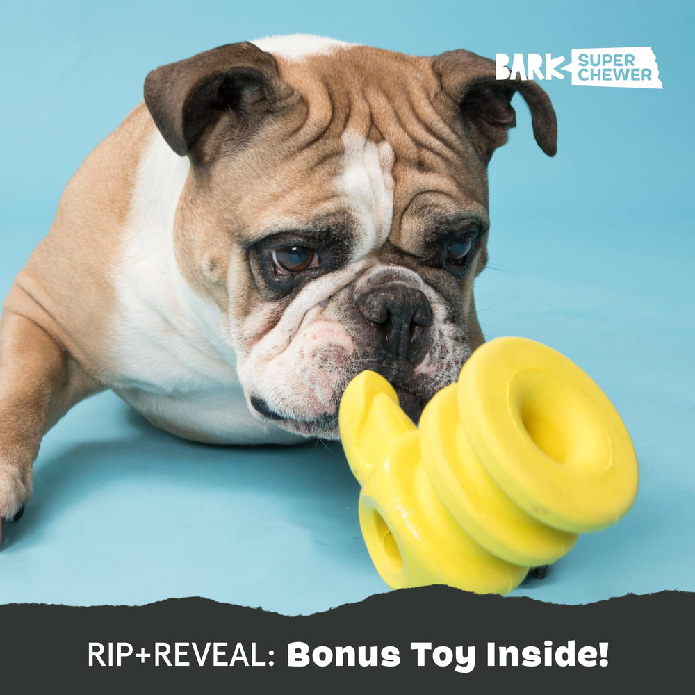 BarkBox Captain Parrot toy — plush exterior with rubber core for durability.