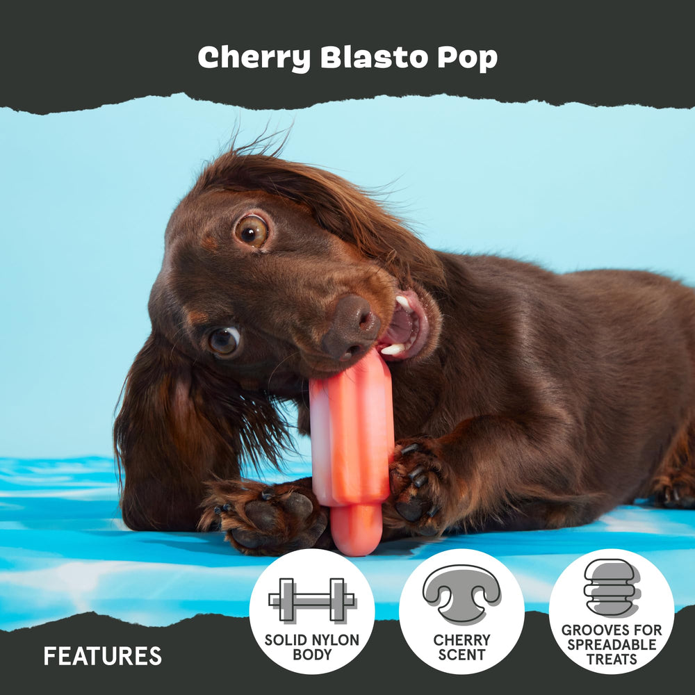 BarkBox Cherry Blasto Pop cherry-scented toy enhances fun during summer play and sniff-friendly engagement