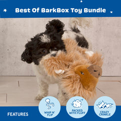 BarkBox Dingbert dragon crinkly wings enhance thrash and roars during play.
