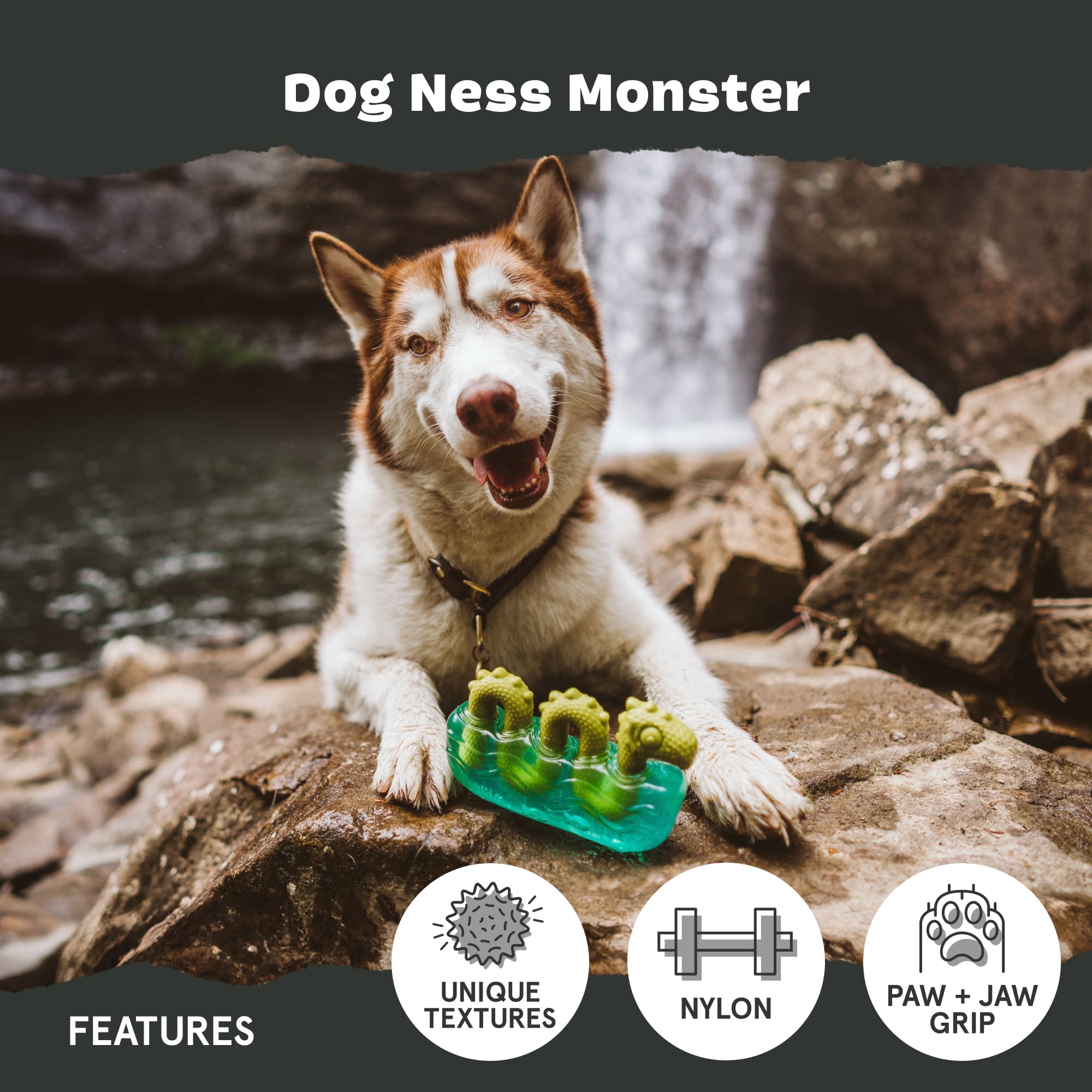 Dogness Monster duradero gracias a goma y nylon para masticación intensa