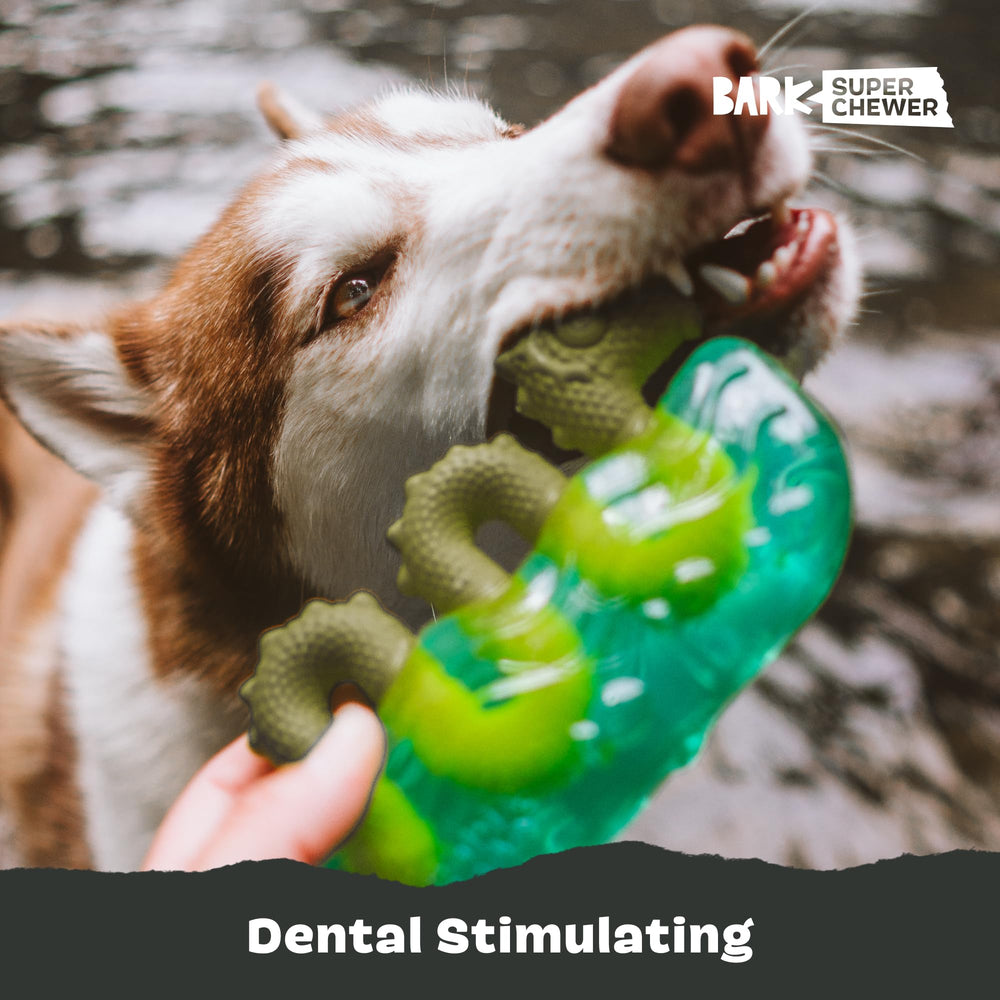 Dogness Monster mezcla goma y nylon para una experiencia de juego resistente
