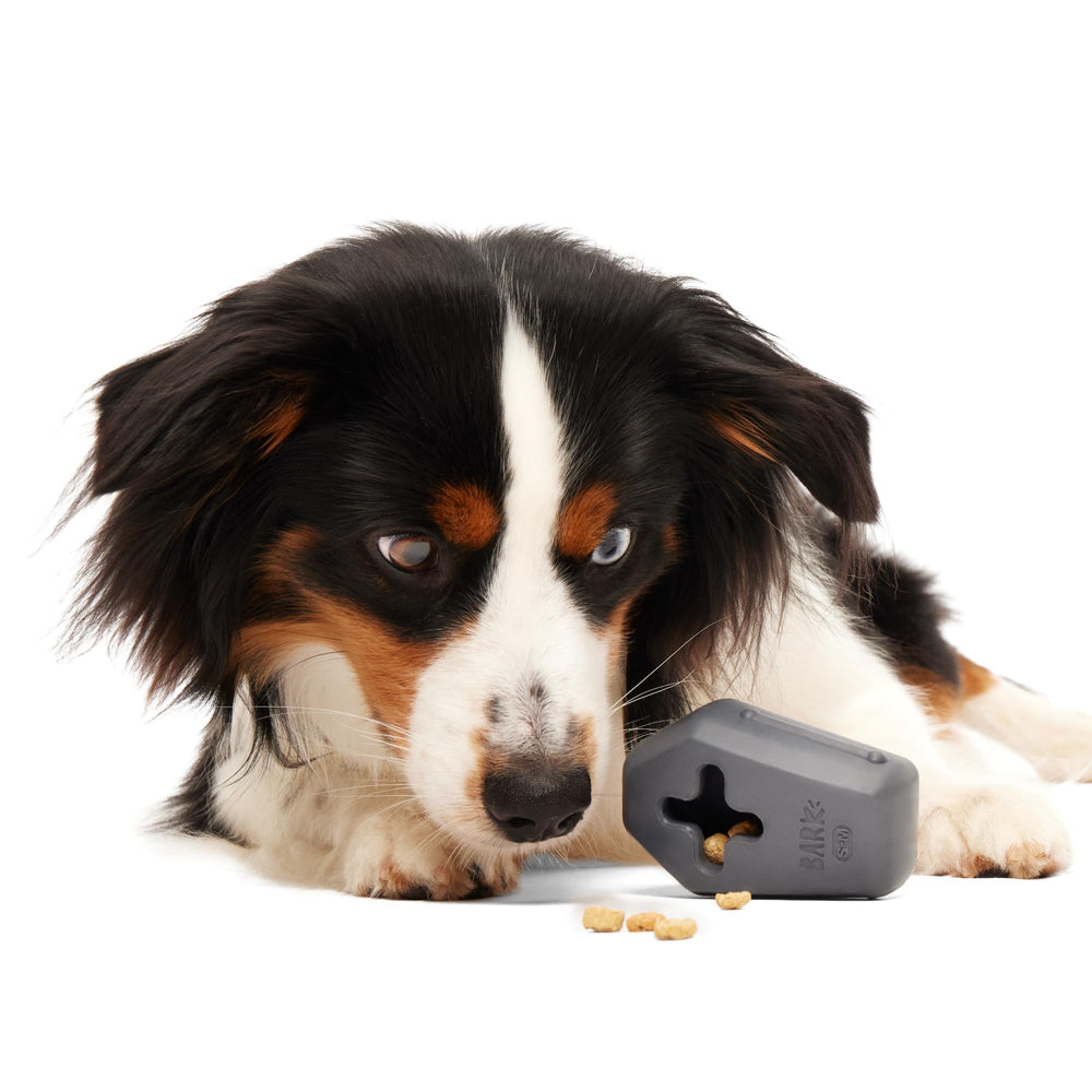 BarkBox Drac Pack Halloween-themed packaging for seasonal fun.
