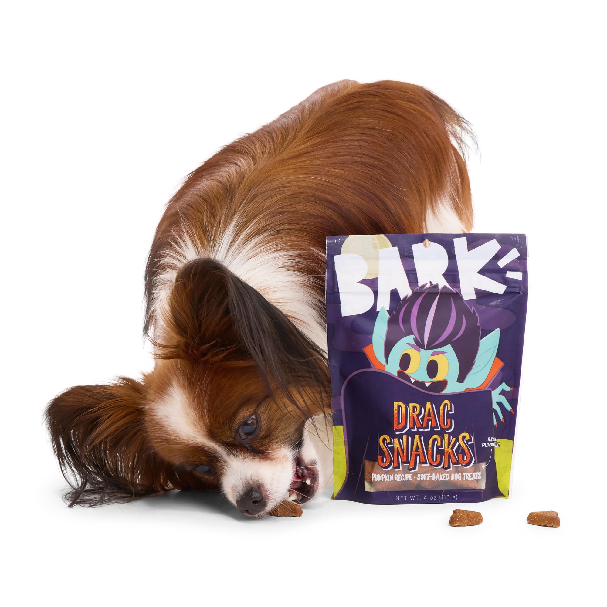 BarkBox Drac Pack treats closeup showing pumpkin flavor and texture.