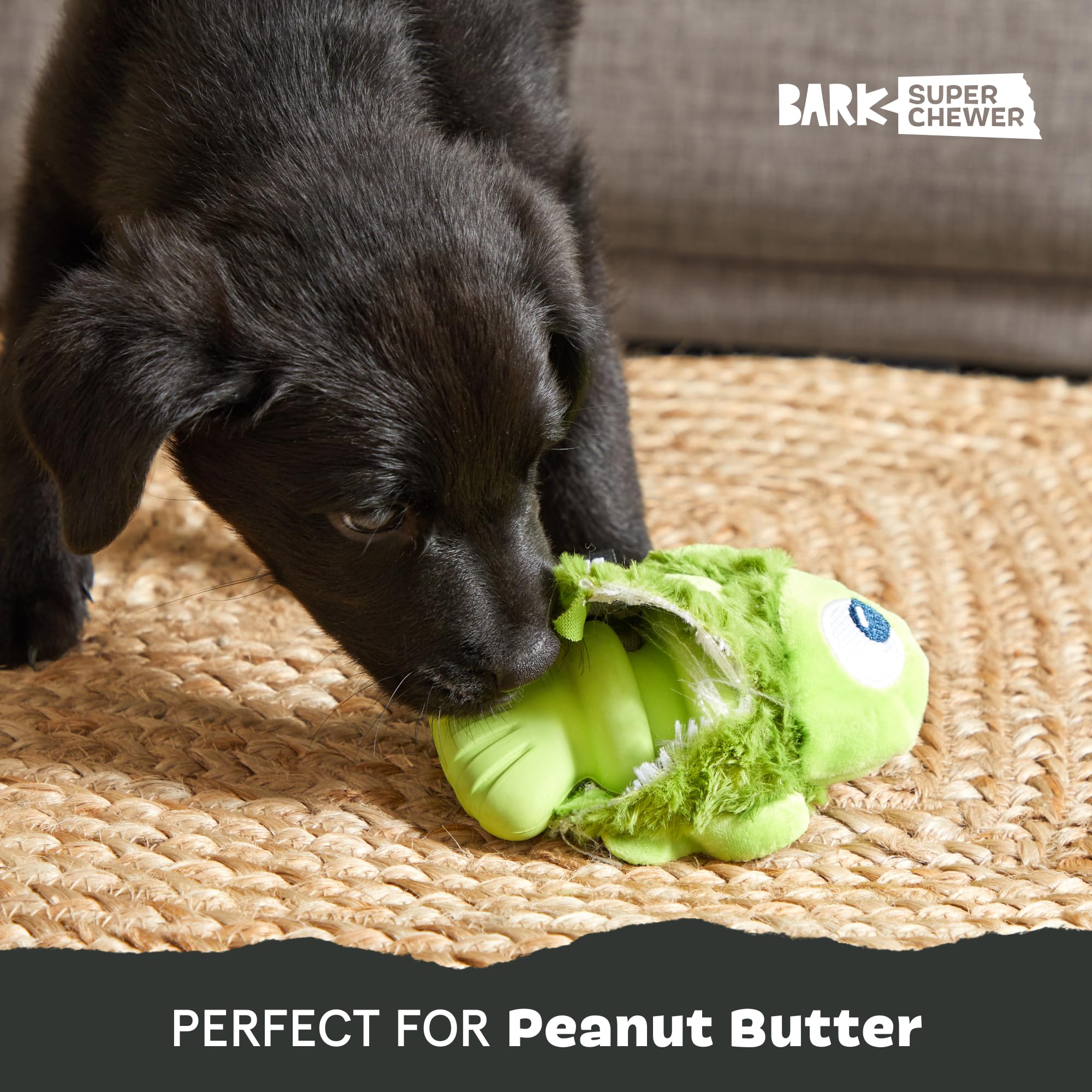Barkbox Drop the Bass small plush-exterior—soft texture meets sturdy rubber core.