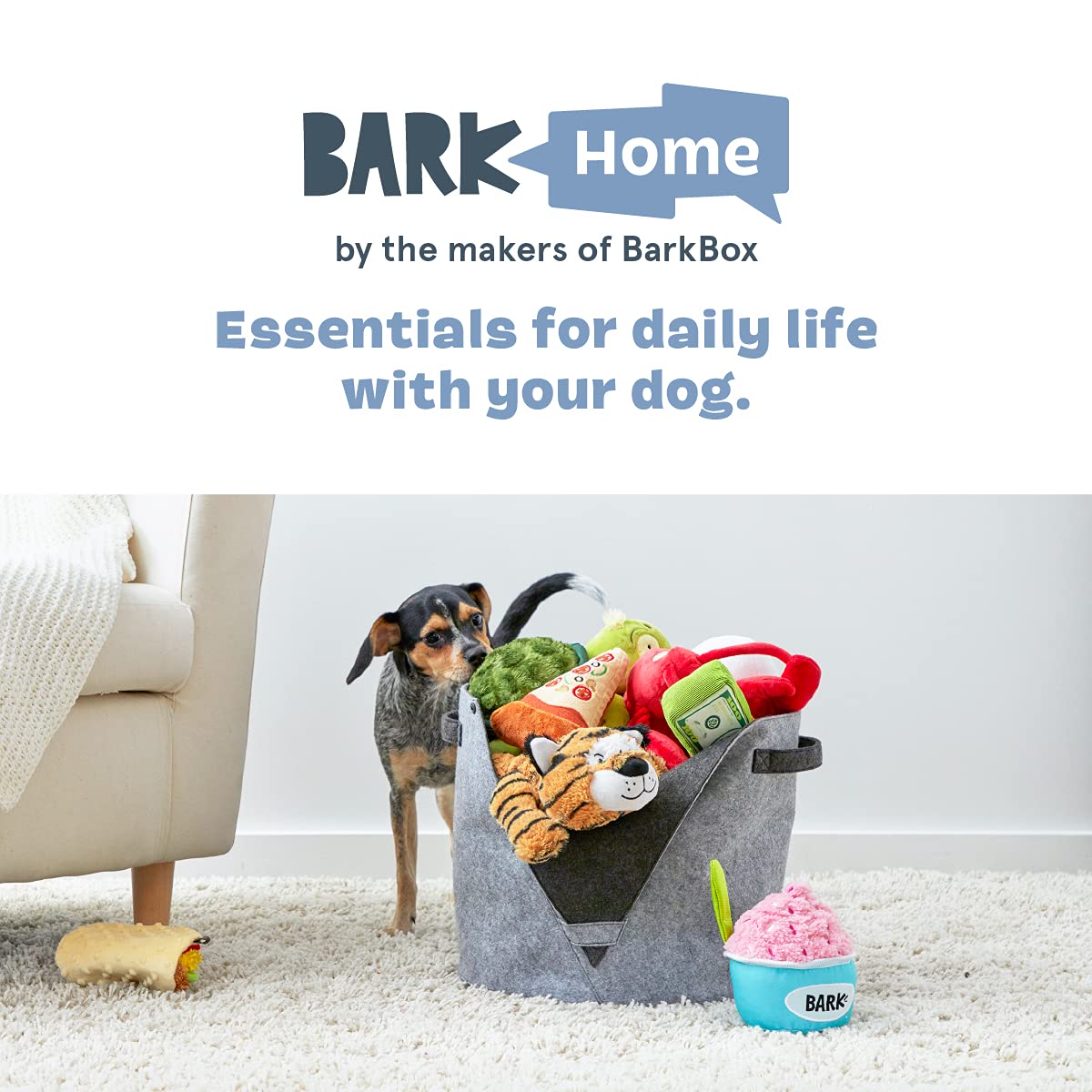 BarkBox felt storage bin durable felt for everyday dog gear storage