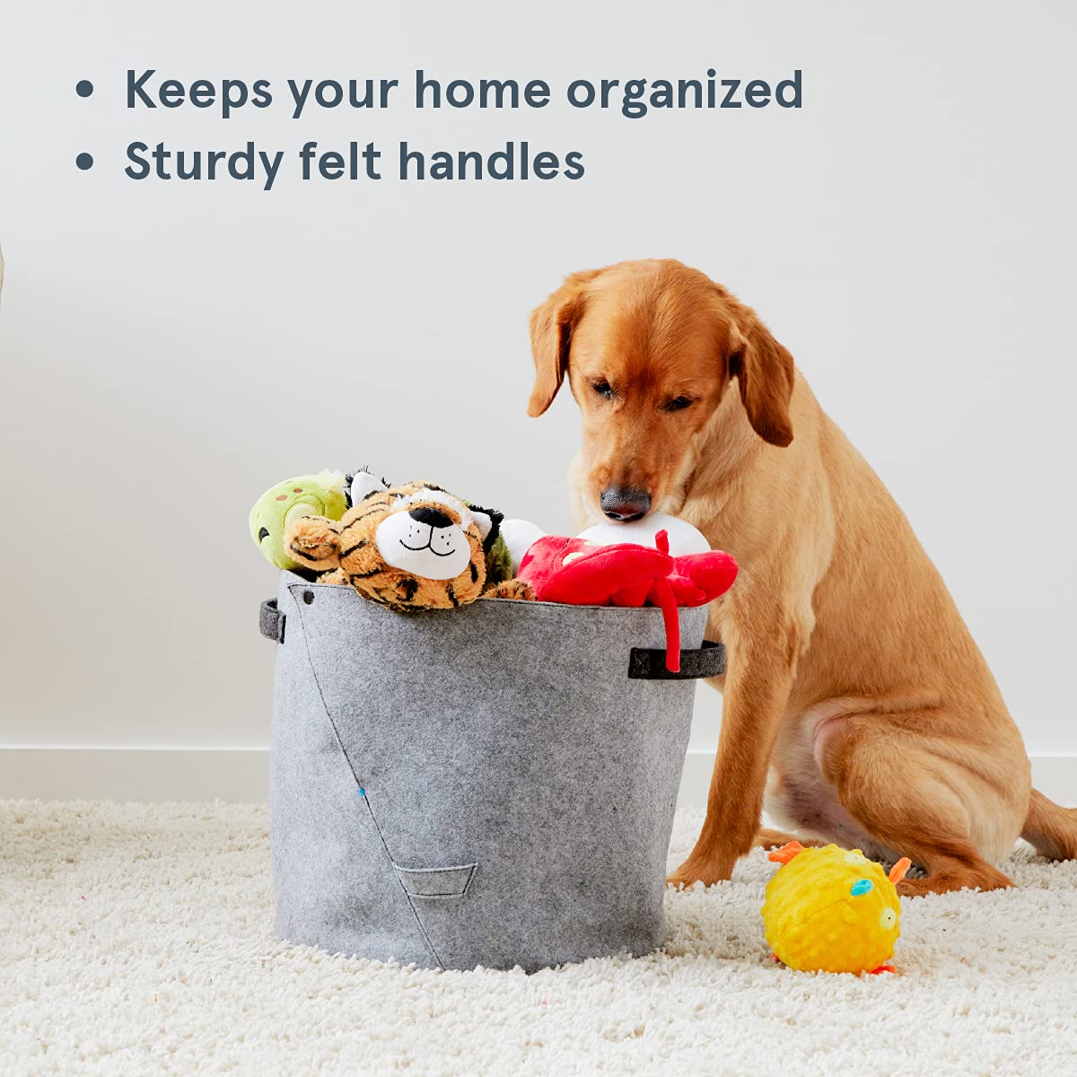 BarkBox felt storage bin is versatile for toys, leashes, and more
