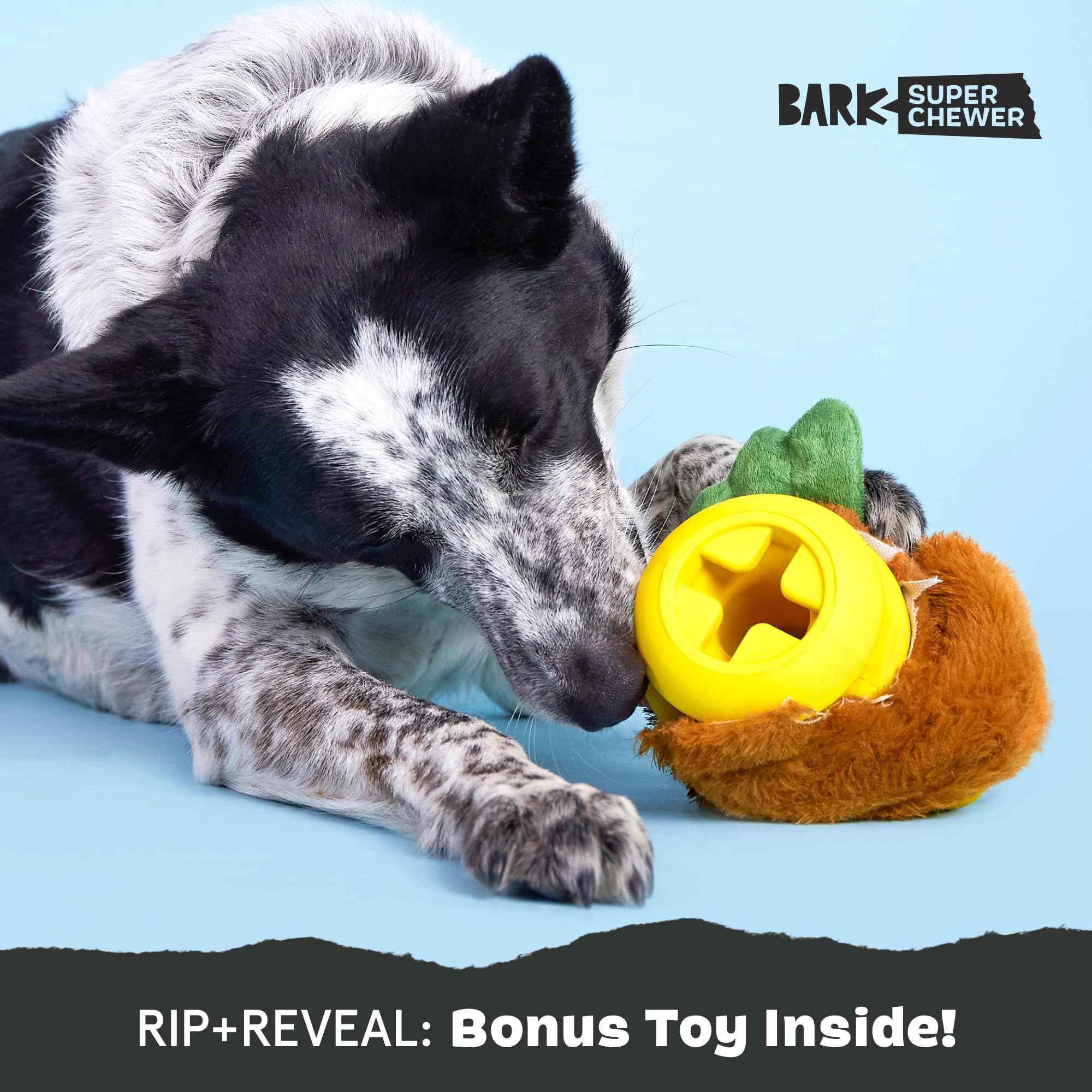 Barkbox Fowl Play multi-layer toy showing exterior and core in one view