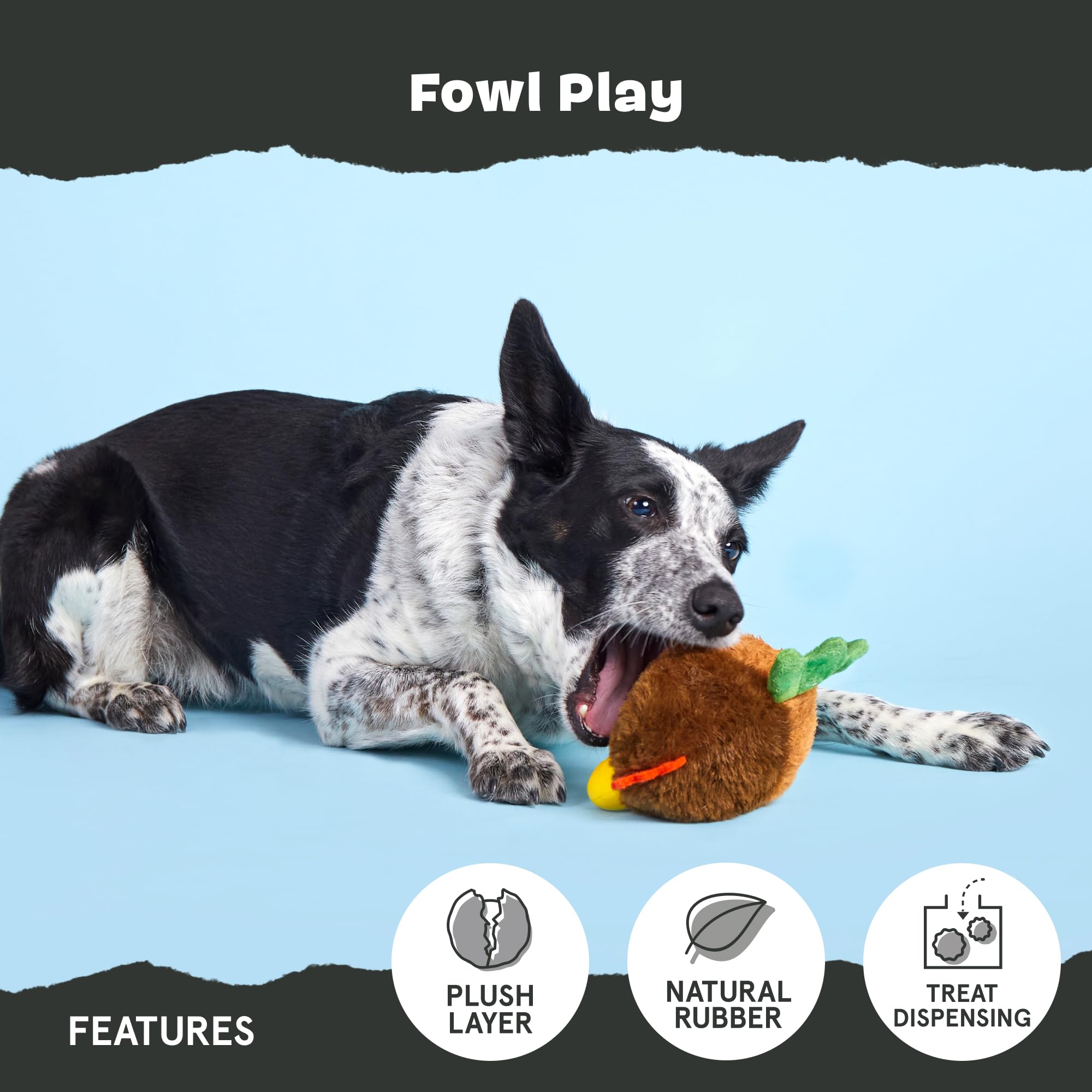 Barkbox Fowl Play hollow core with treats inside for rewarding play