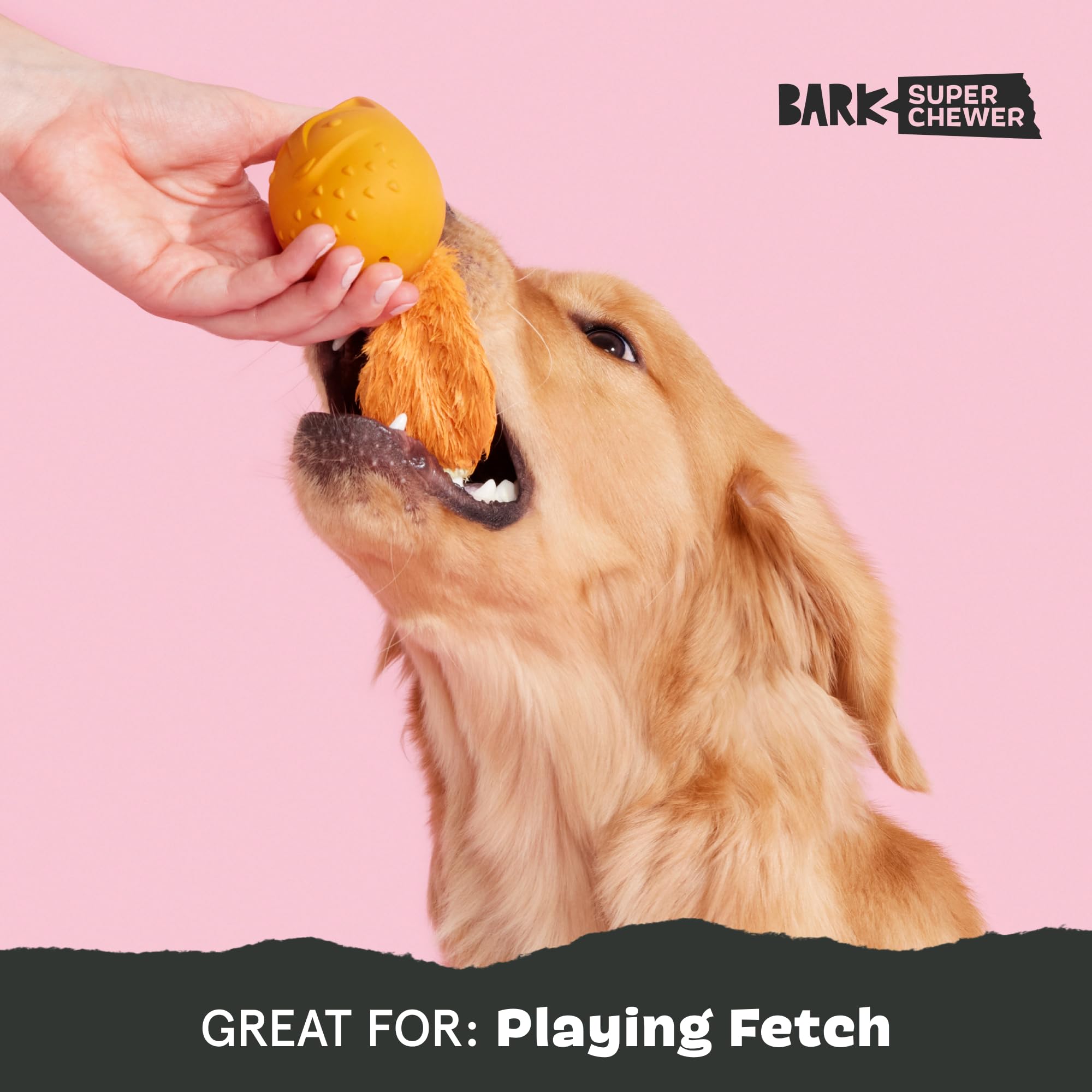 BarkBox Franz the Fox dog toy dishwasher-safe for easy cleaning