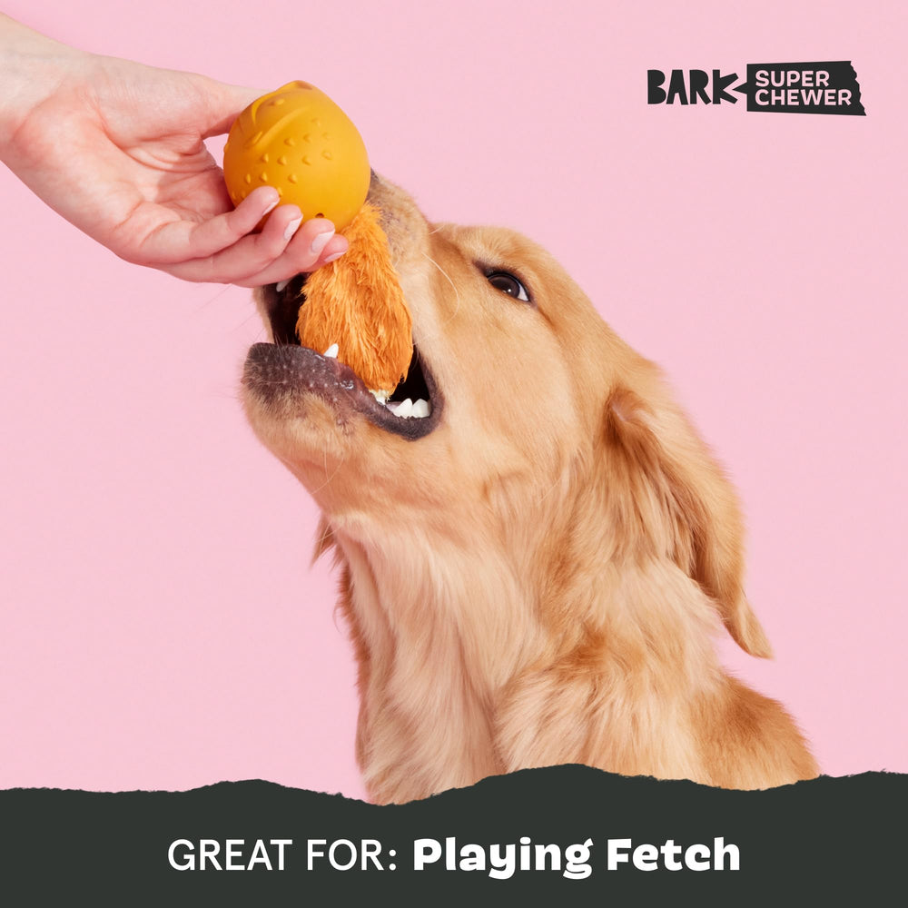 BarkBox Franz the Fox dog toy dishwasher-safe for easy cleaning