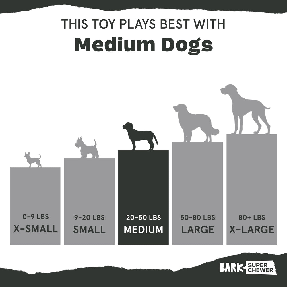 BarkBox Franz the Fox dog toy for small-to-medium dogs