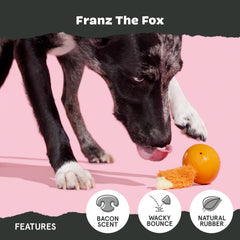 BarkBox Franz the Fox dog toy thrashy-tail for dynamic fun