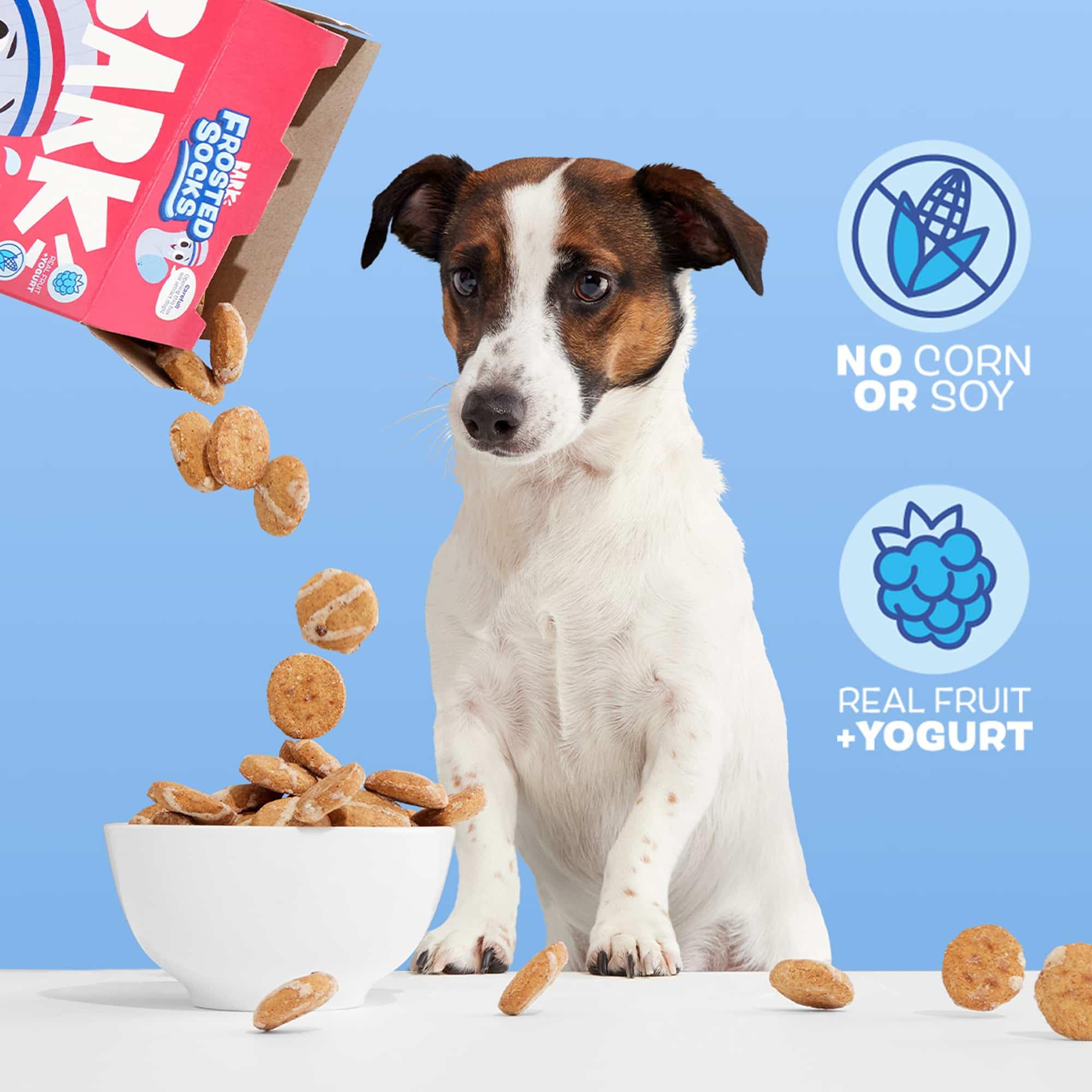 Barkbox Frosted Socks crunchy-delight: cereal-style crunch dogs adore at snack time.