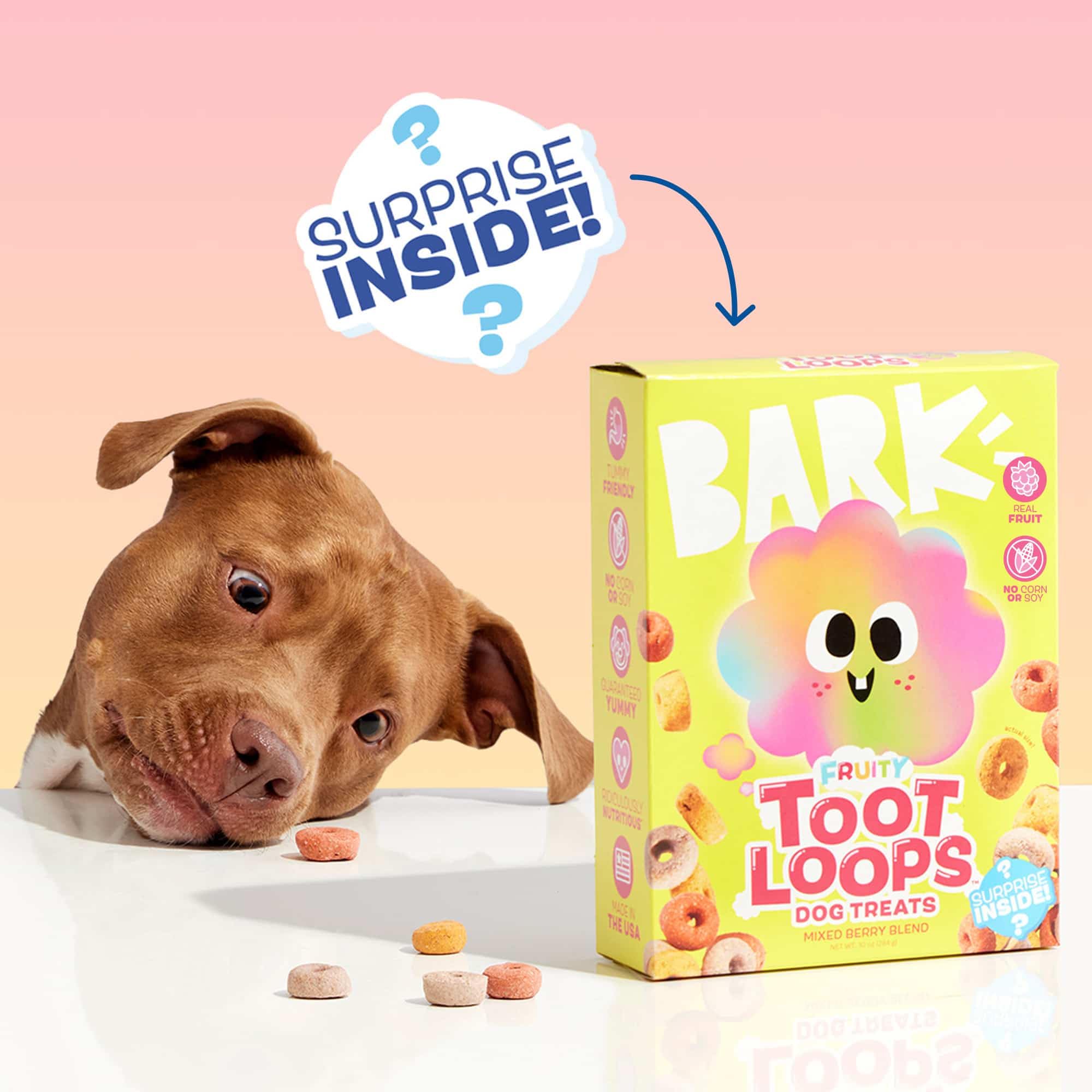Barkbox Fruity Toot Loops: ideal como snack diario para tu perro.