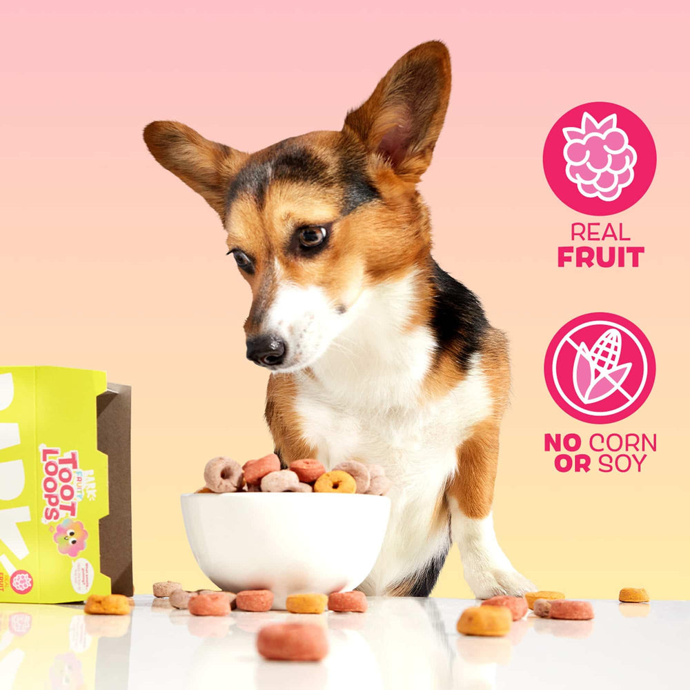 Barkbox Fruity Toot Loops: textura crujiente para masticación satisfactoria.