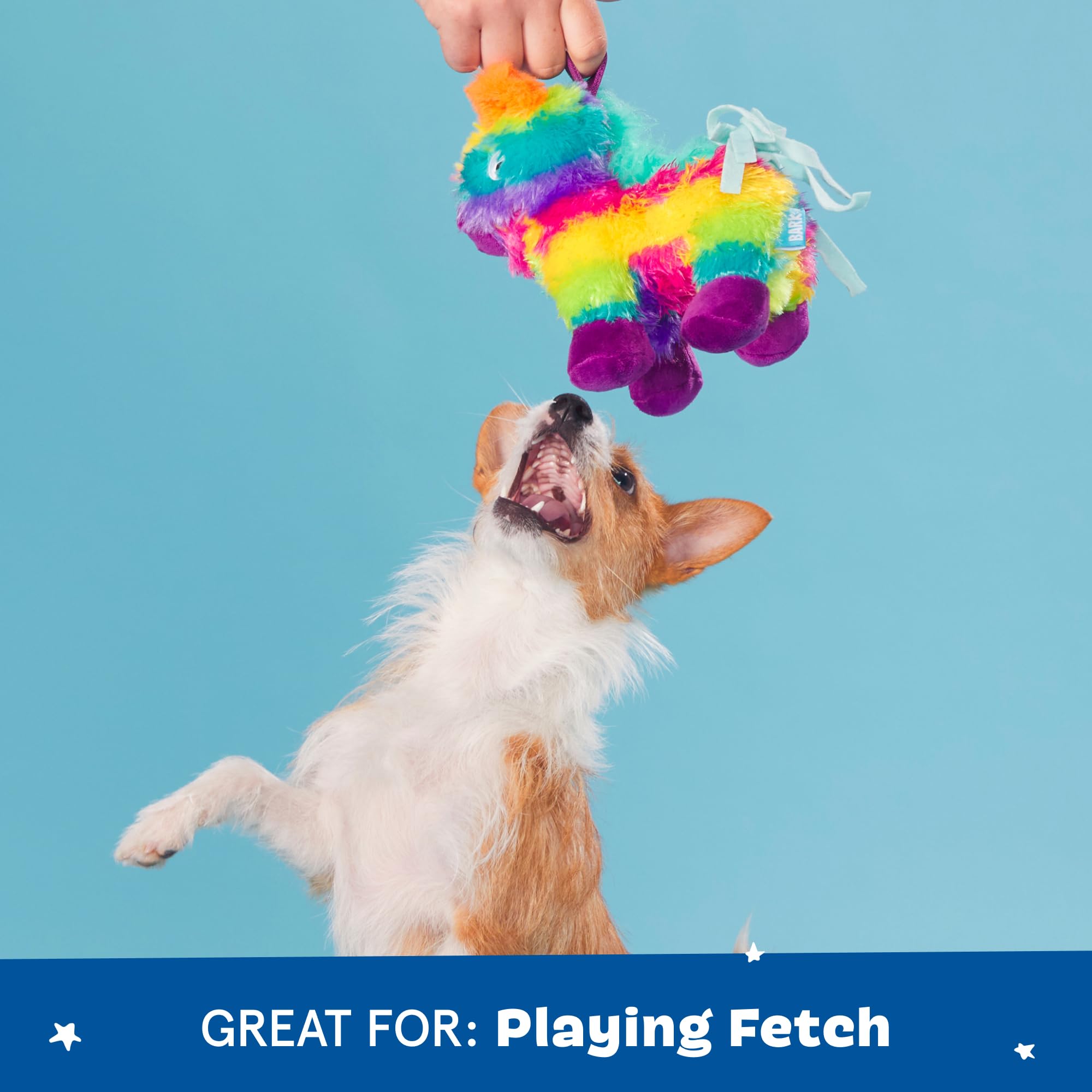 BarkBox Full O’ Fluff Piñata Toy small dog size 10.5 x 8.75 x 4.75 inches