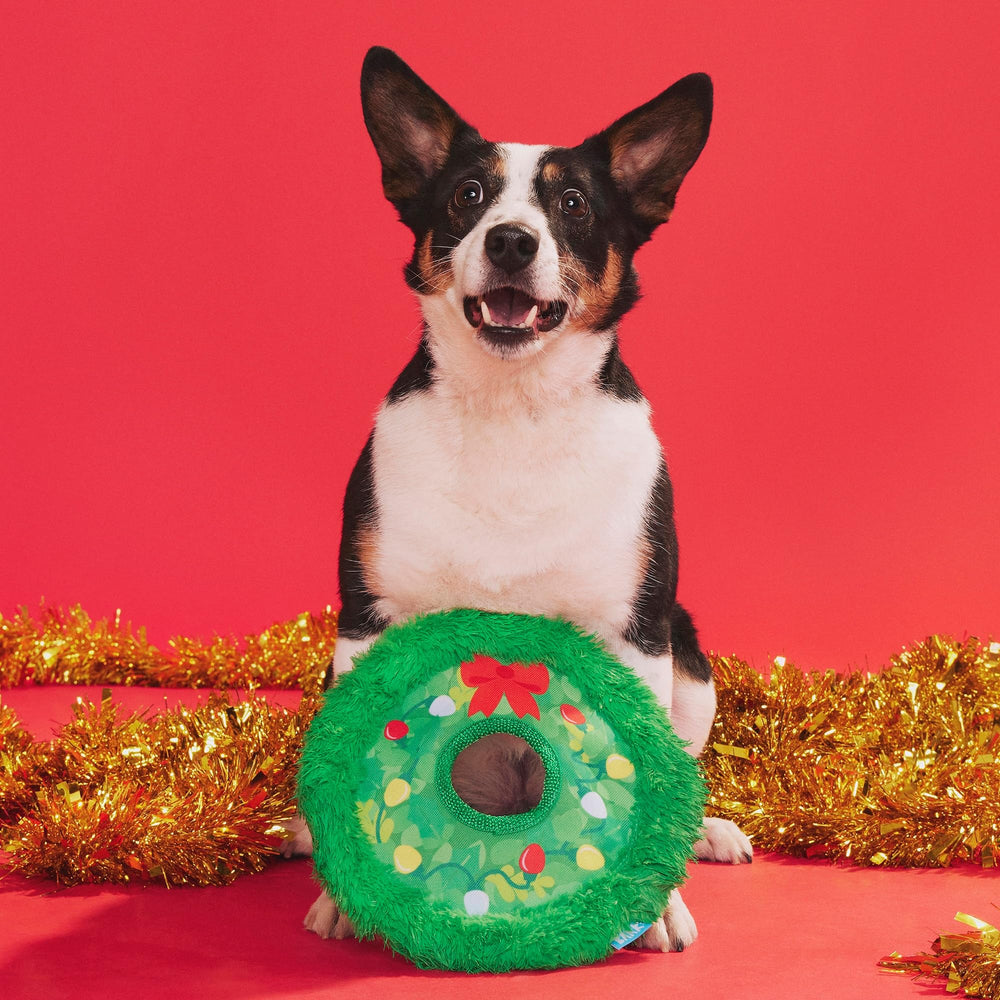 BarkBox Get Lit Wreath ready for fetch and tug in any space.