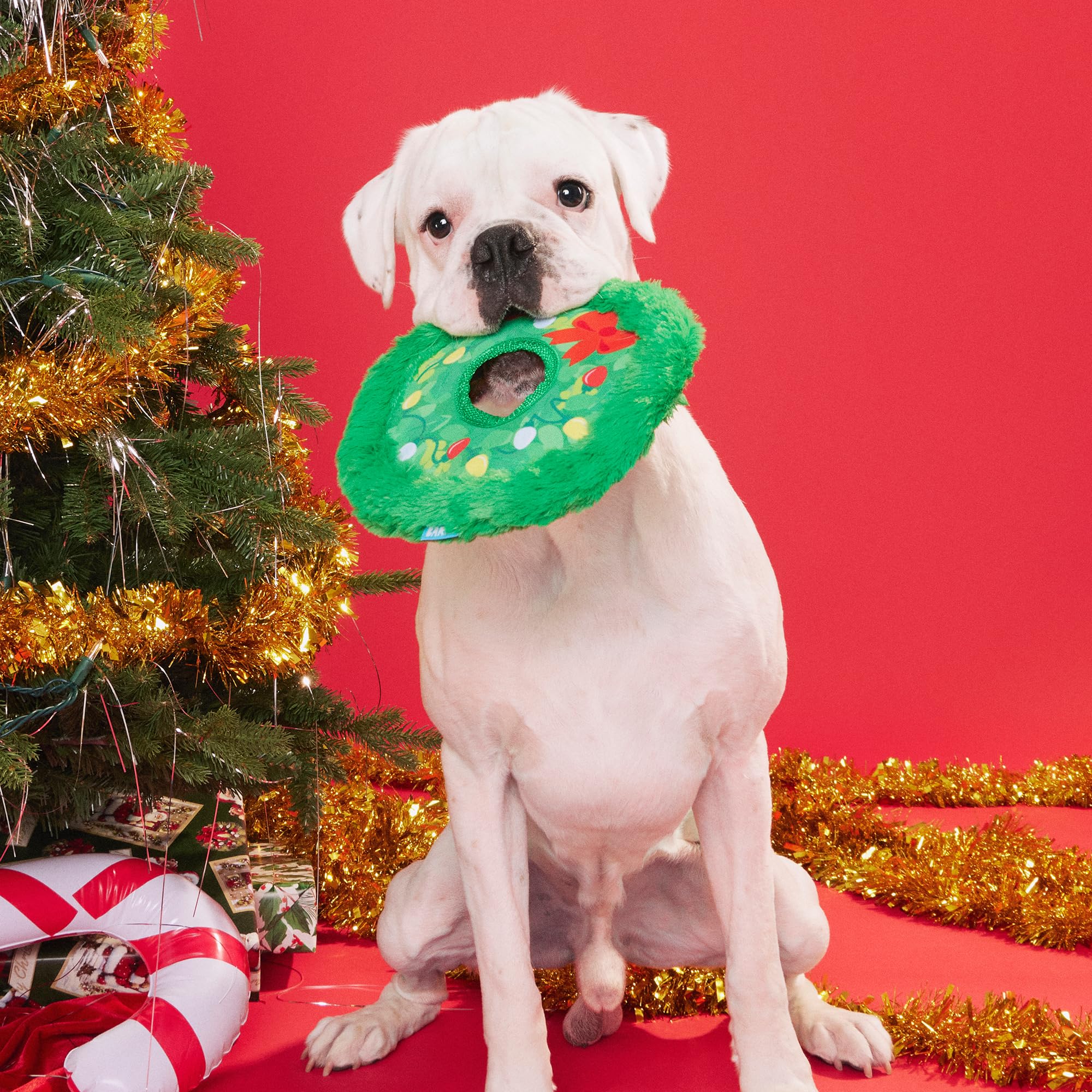 BarkBox Get Lit Wreath holiday colorway enhances festive indoor play sessions.