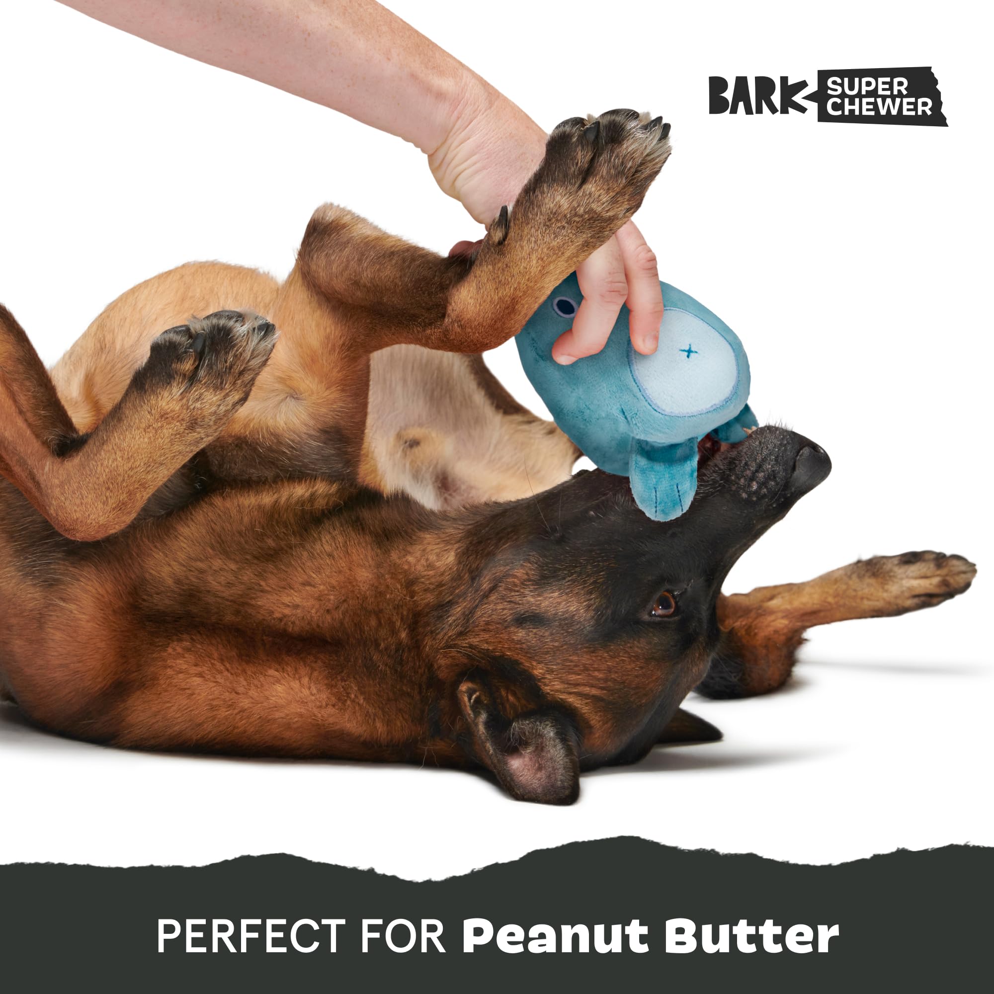 BarkBox Grey Bear Hugger rip-and-reveal feature sparks extended play.