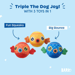 Barkbox Guppies Trio fetch-ready balls enable engaging outdoor play sessions.