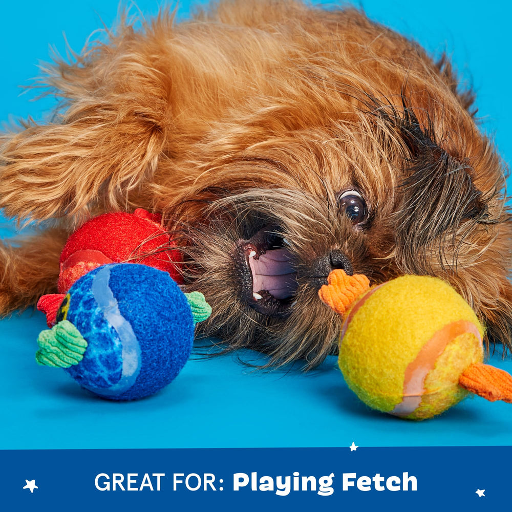 Barkbox Guppies Trio gift-ready pack is ideal for dog lovers.