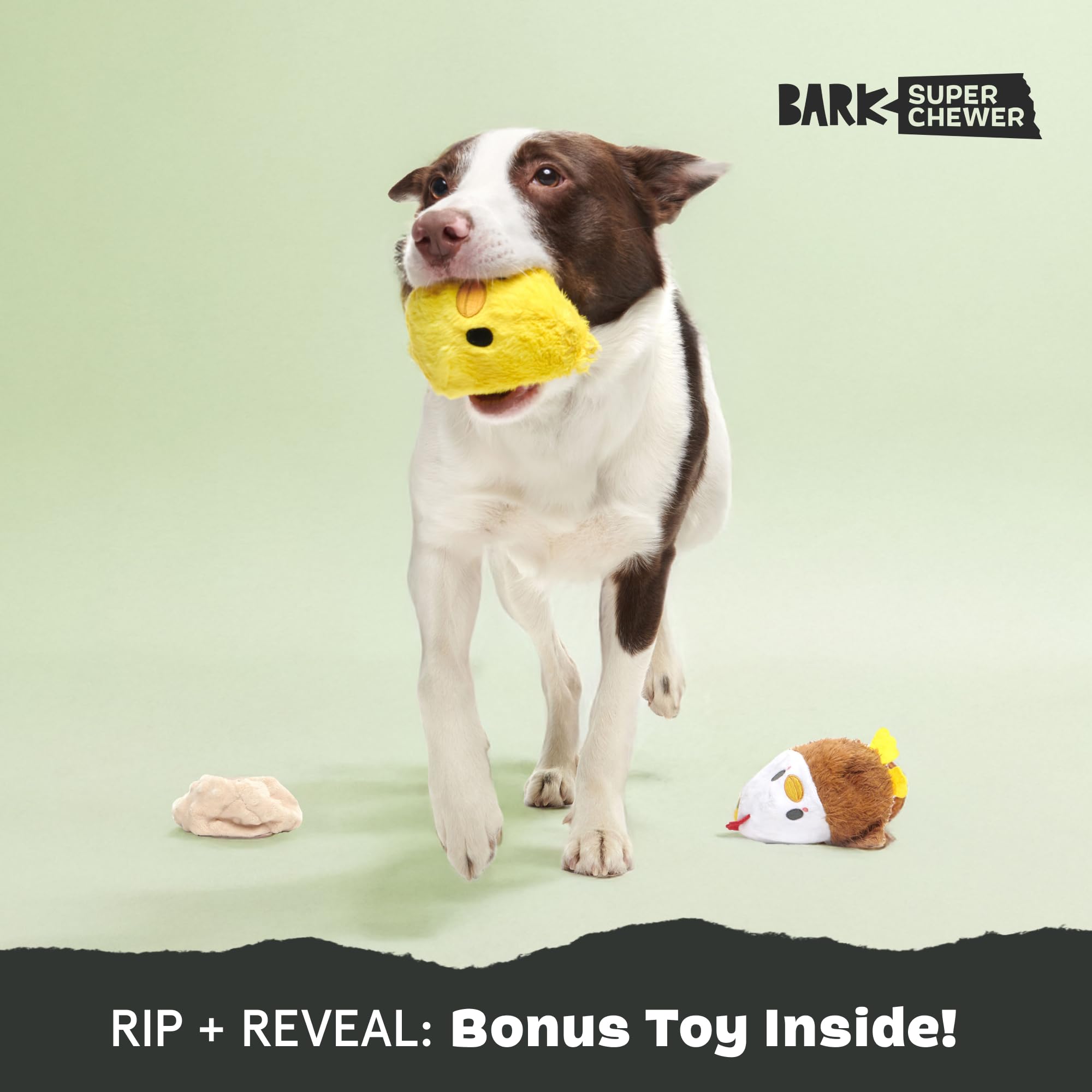 BarkBox Hatch Me If You Can natural rubber core delivers durable chew feel.