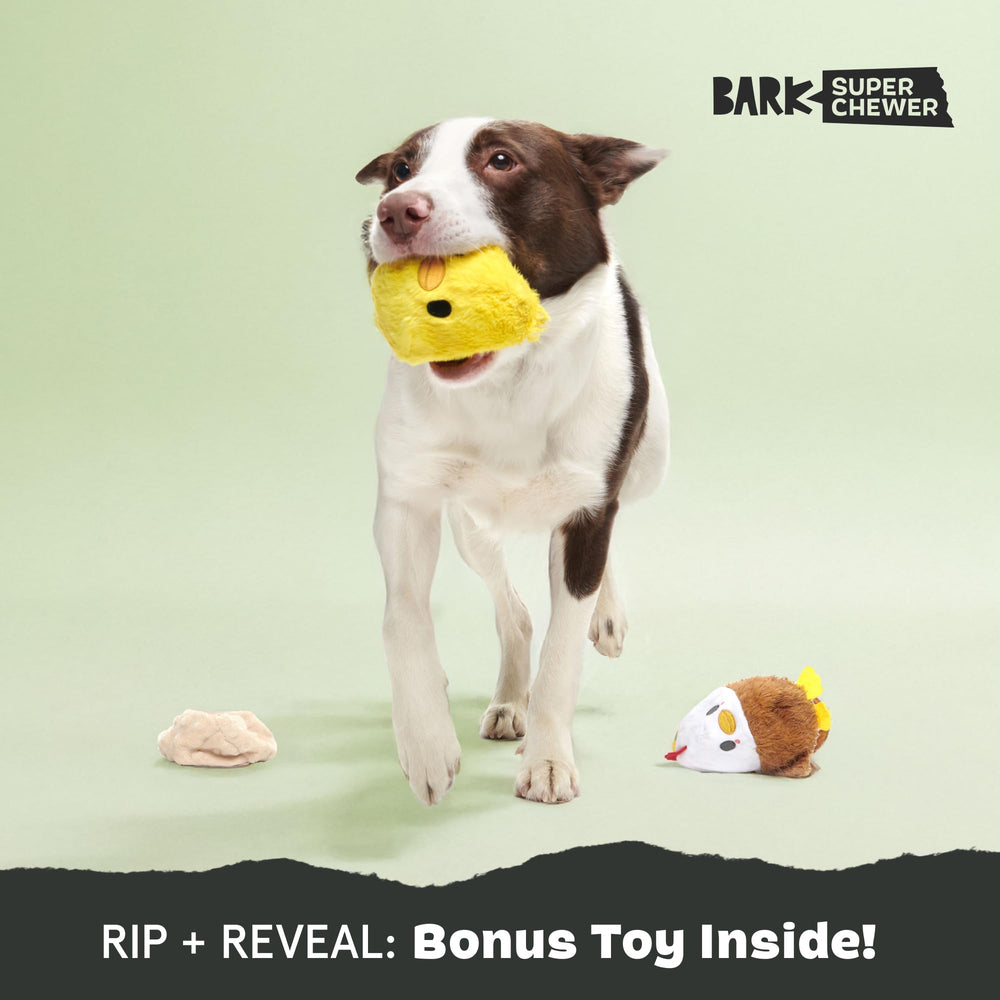 BarkBox Hatch Me If You Can natural rubber core delivers durable chew feel.